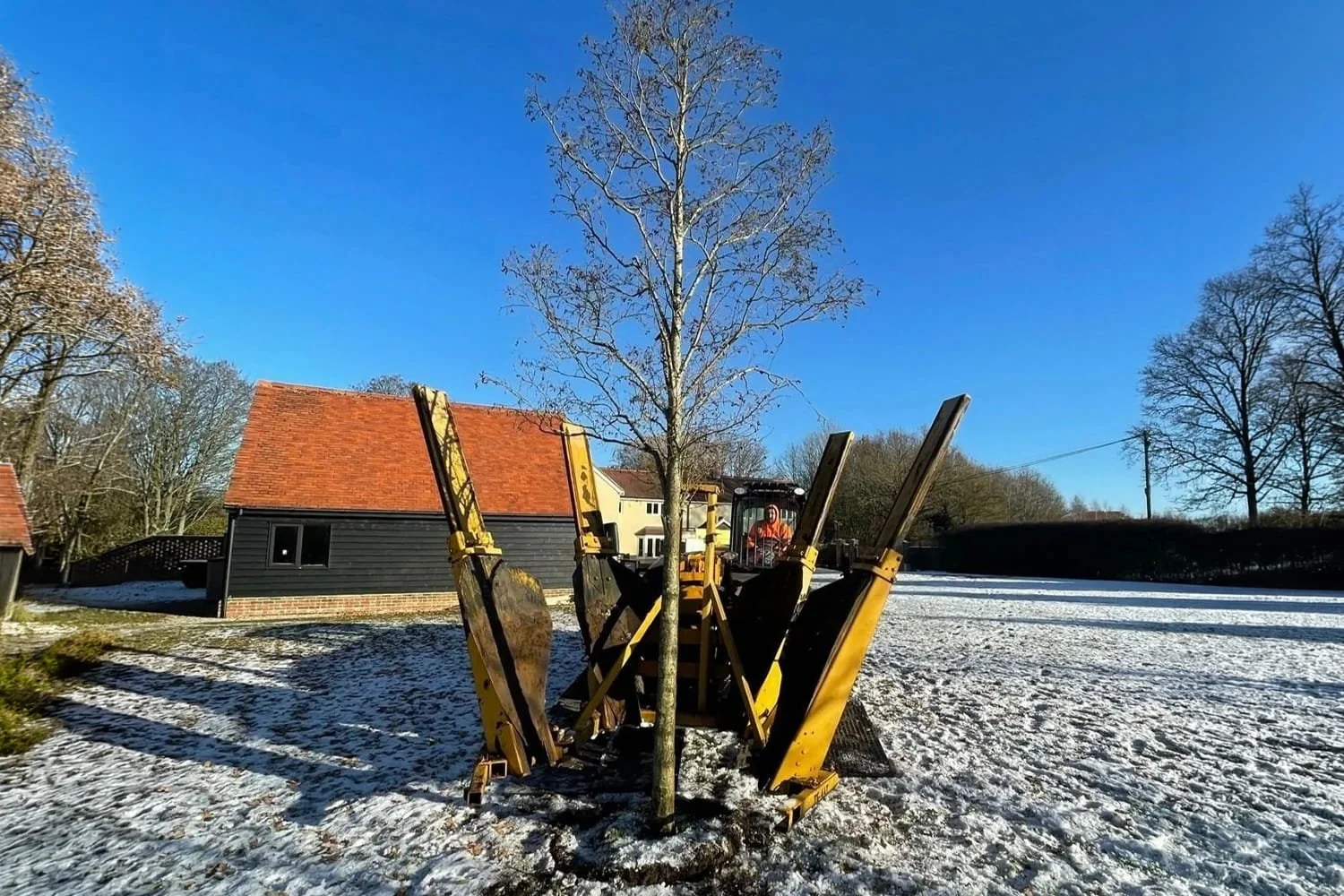 Trees being trimmed by workers in a bucket lift, with trucks and cones on the road