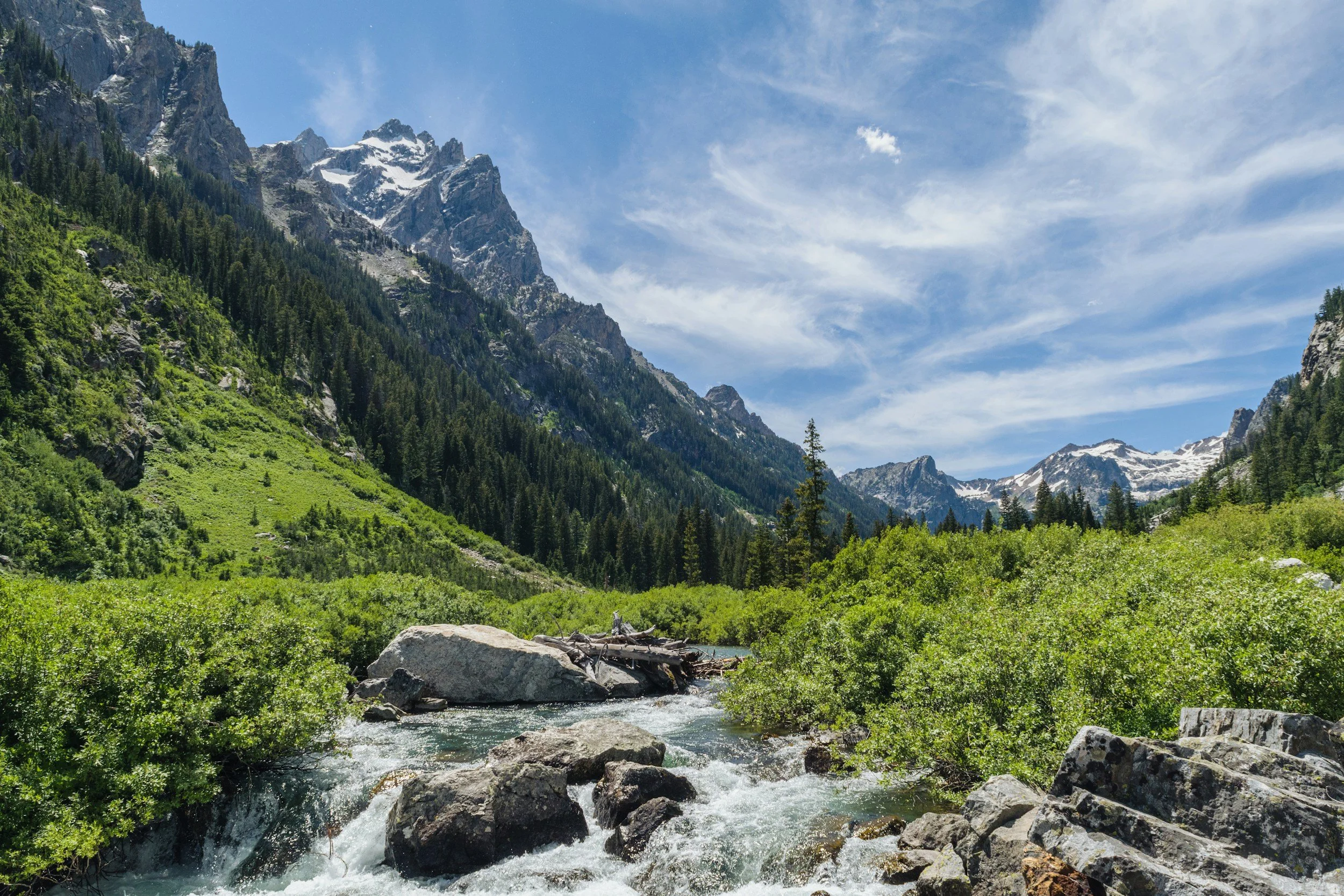 A mountain landscape featuring snow-capped peaks, lush green forests, and a flowing river in the foreground under a partly cloudy sky.