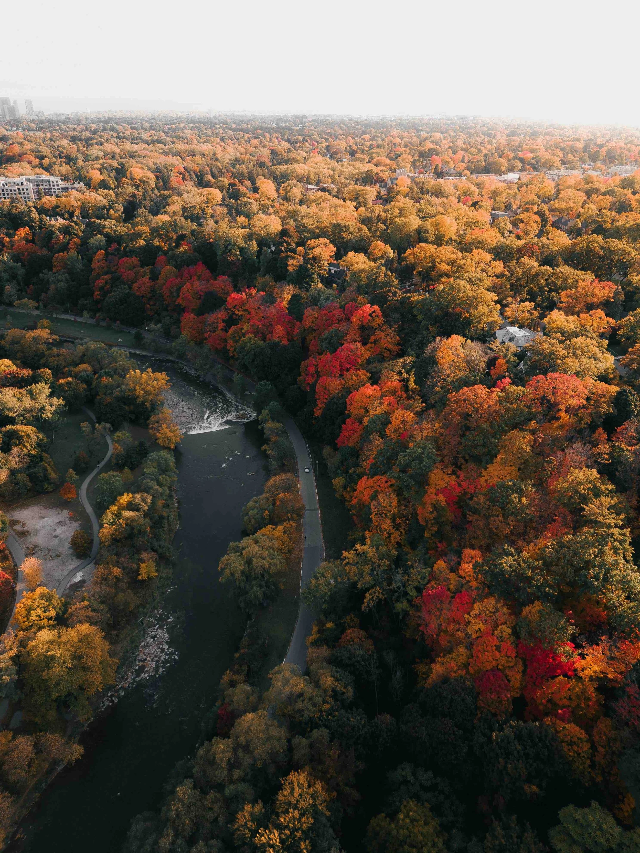 Drone view of a winding river flowing through a forest filled with vibrant red, orange, and yellow autumn foliage.