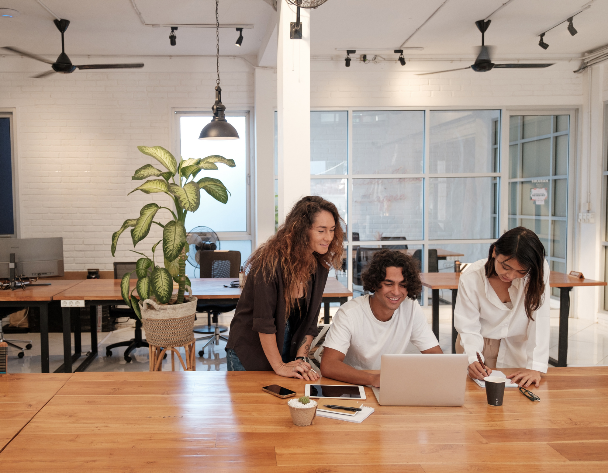 A group of four young professionals working together in a modern office with a large wooden table, white brick walls, and large windows letting in natural light. Two women are standing and leaning over laptops, while two others sit and work, with one taking notes. Office plants and laptops are on the table.
