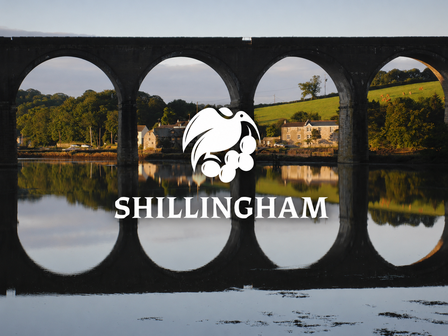 Shillingham Vineyard