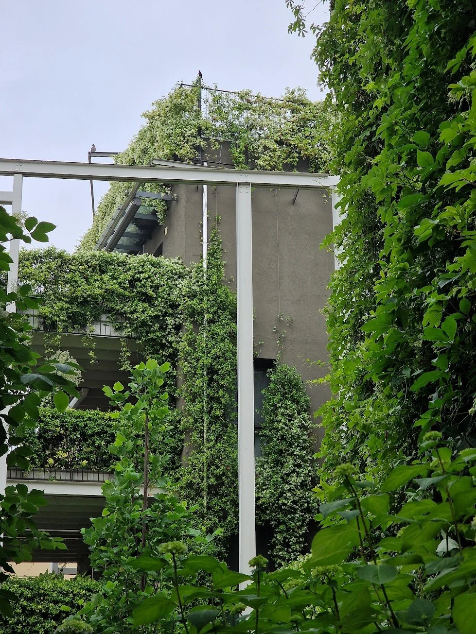 Edificio moderno rivestito di piante verdi e rampicanti, con piante e arbusti sul balcone e sulla terrazza superiore, circondato da alberi e foglie verdi.