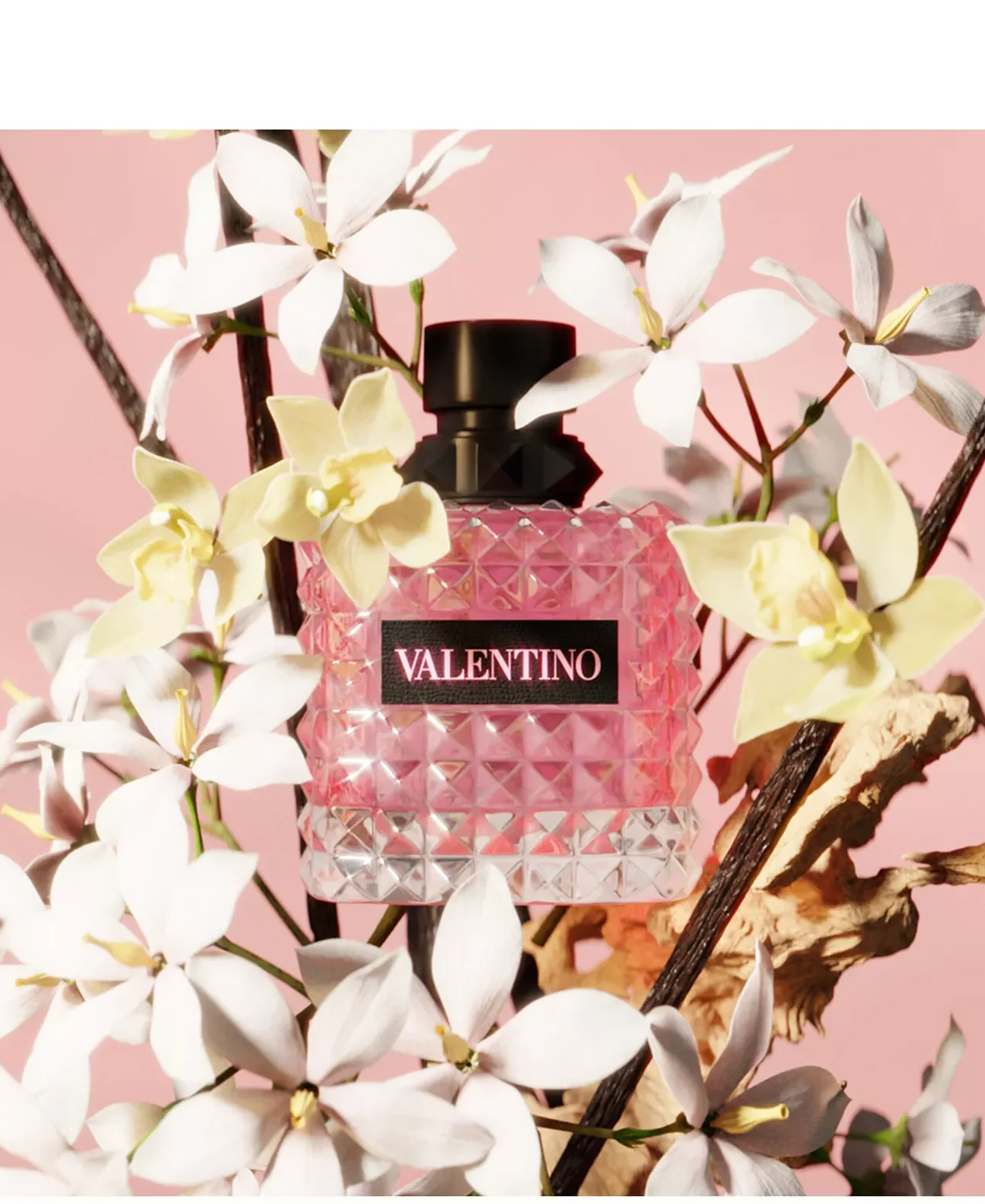 Valentino Donna Born In Roma