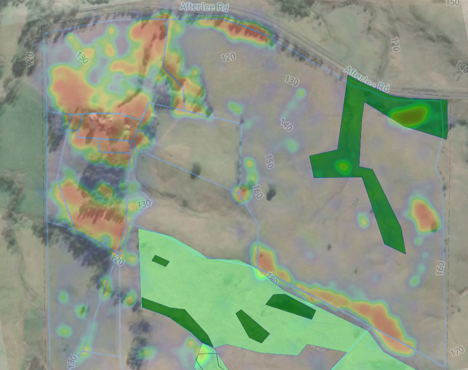 Kyogle Cattle Grazing data overlay.png
