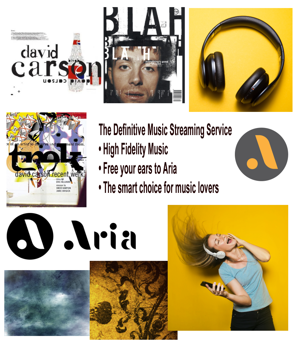 Aria Experimental Work 1.png