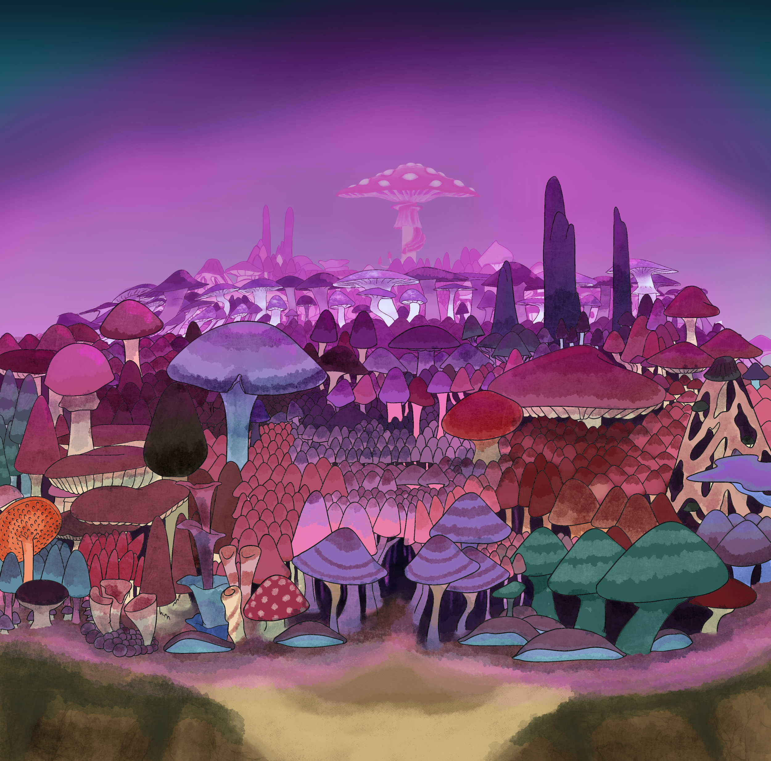 Scene 2 Shot 14 (Full Forest View)
