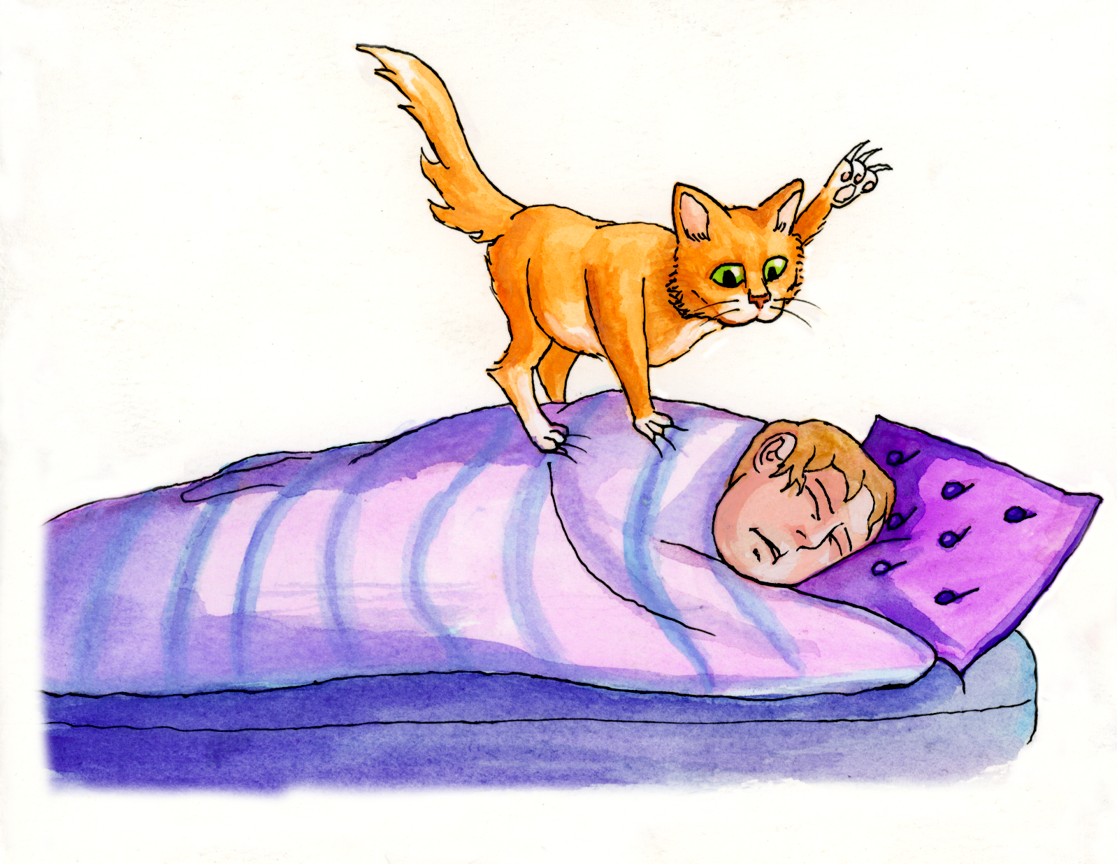 4: Feline Alarm Clock