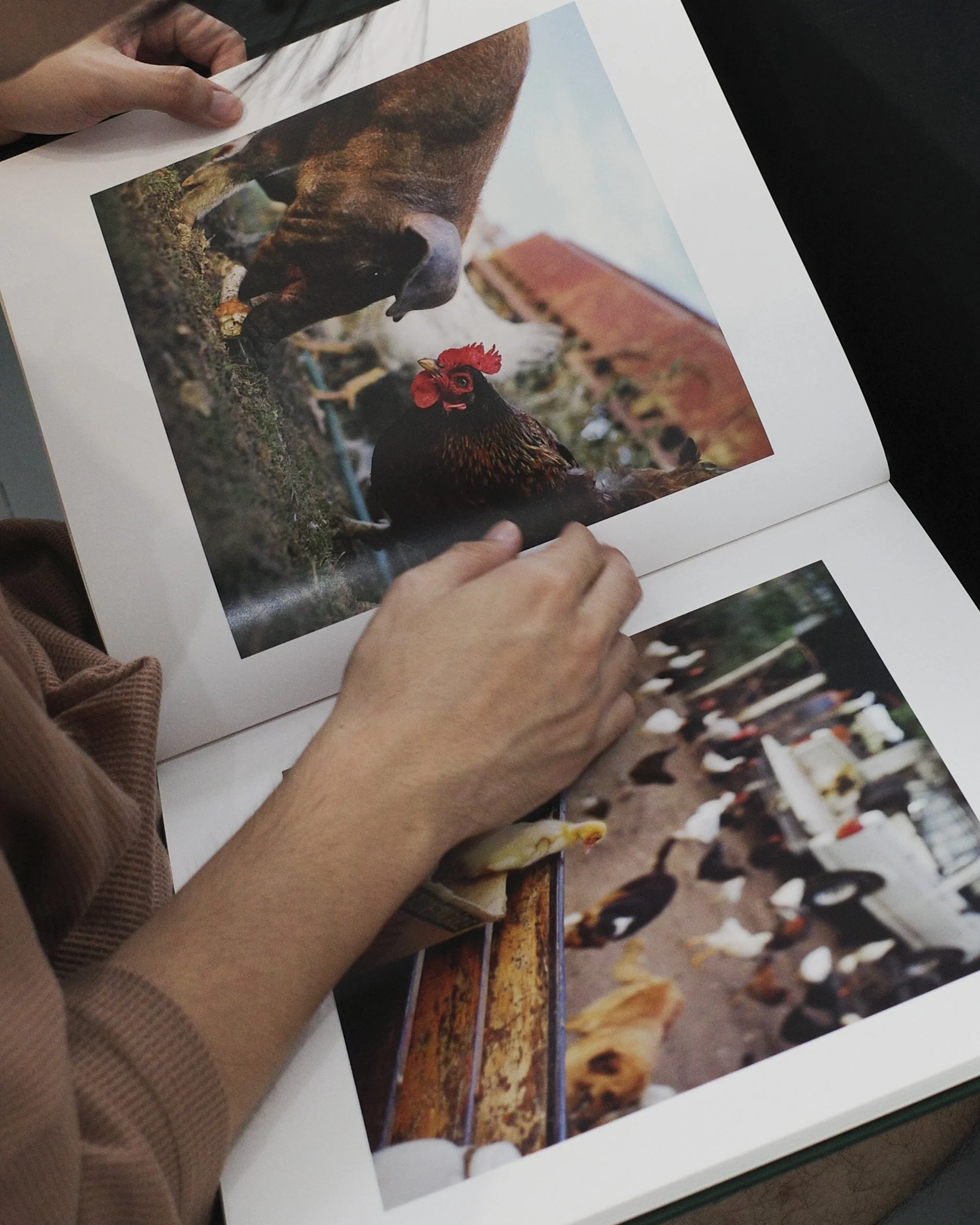 📓 Photobook Club #4 : Animal