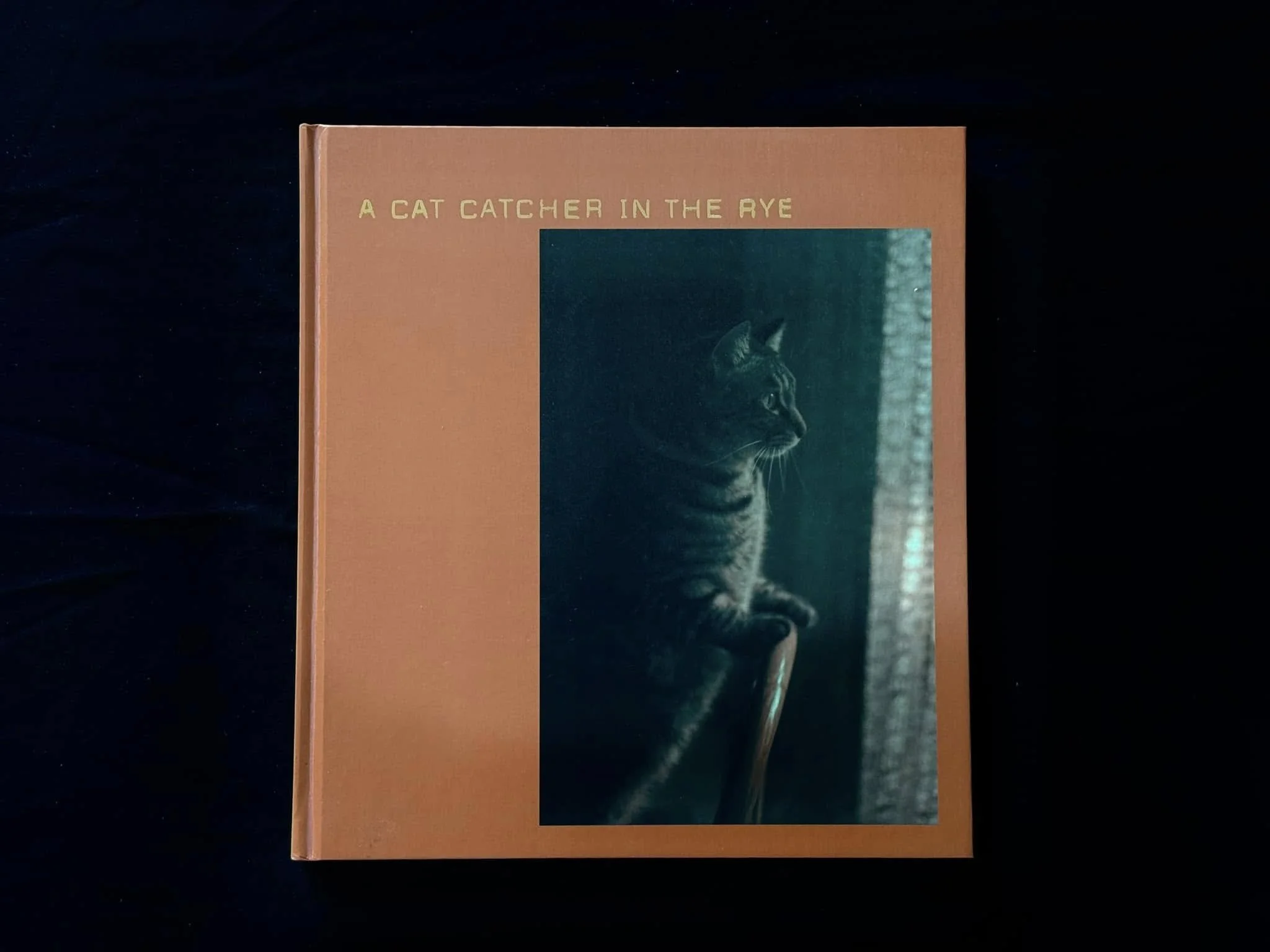 วันละเล่ม #13 A Cat Catcher in the Rye - Miyazaki Tsuyoshi