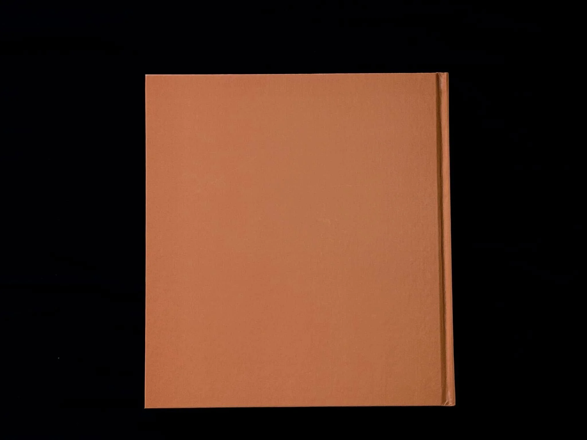 472846021_10236481312119979_7900762603345630470_n.jpg