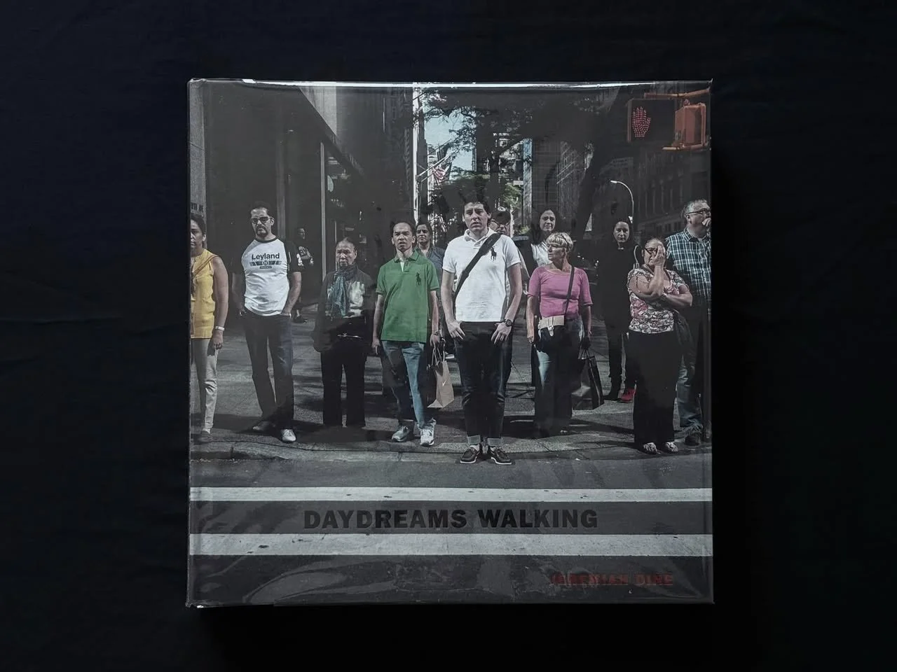 วันละเล่ม #33 Daydreams Walking - Jeremiah Dine