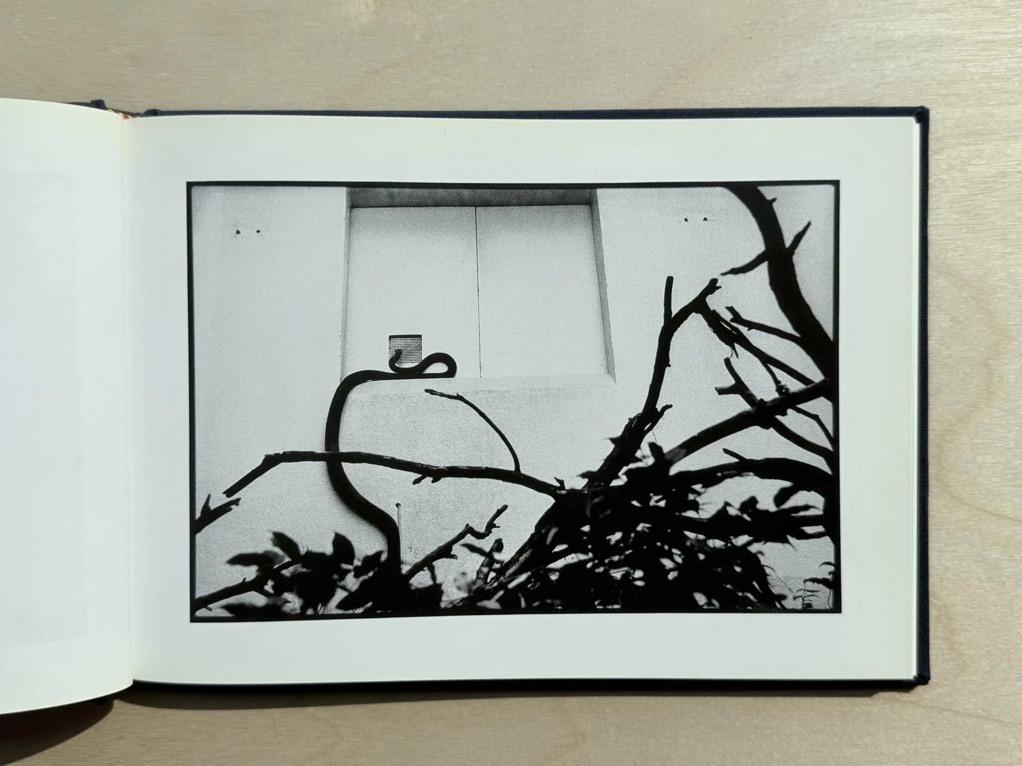 475524150_10236618716835011_442721241886210677_n.jpg