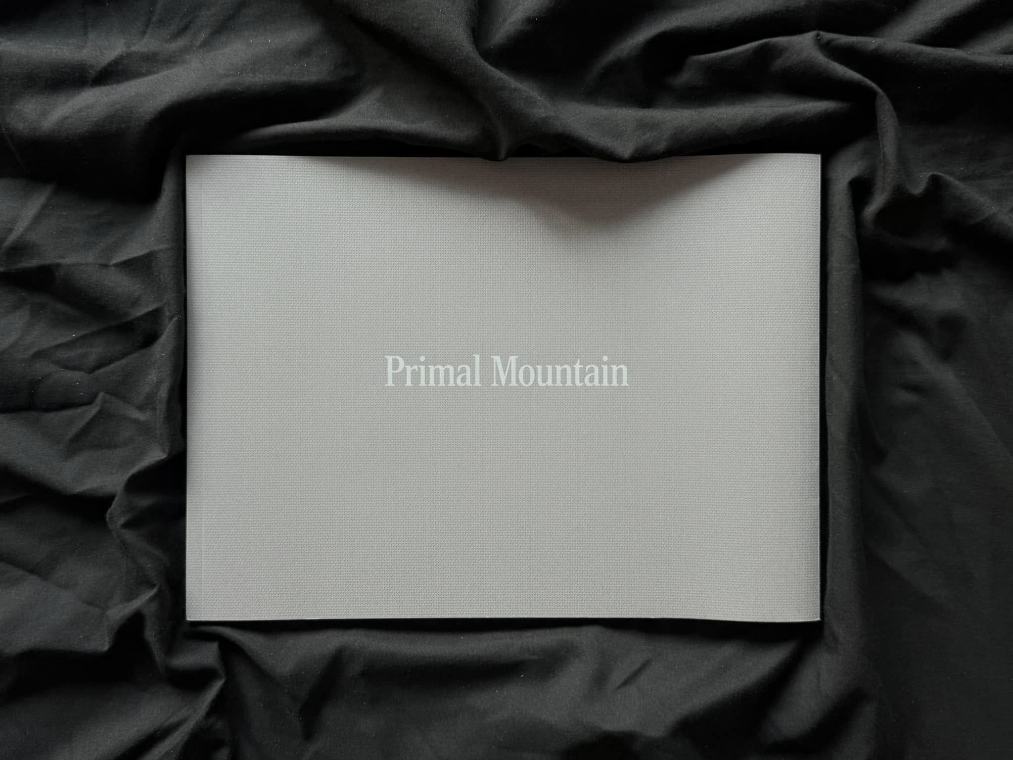 วันละเล่ม #39 Primal Mountain - Yuji Hamada