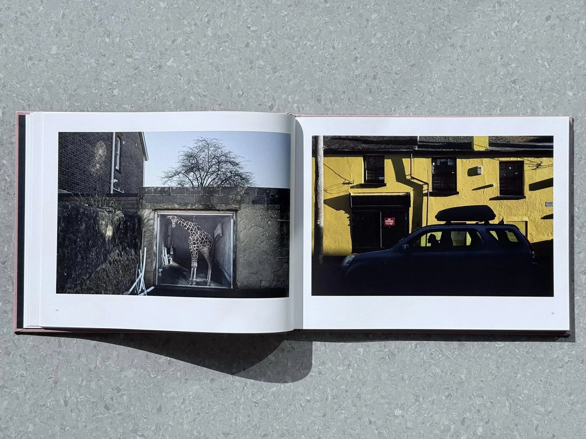 476610390_10236659647498252_8953136087019317769_n.jpg