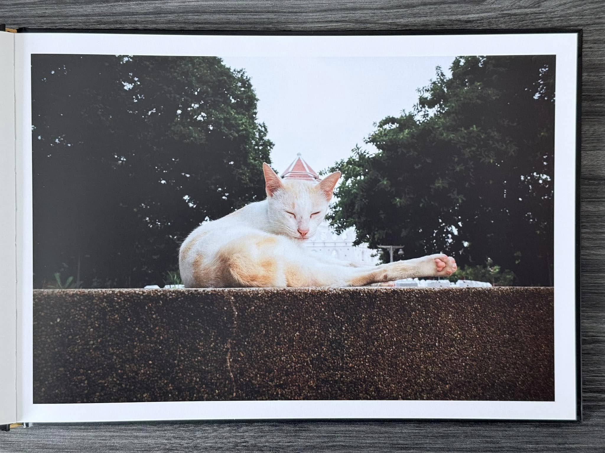 PAD_54_0003.jpg