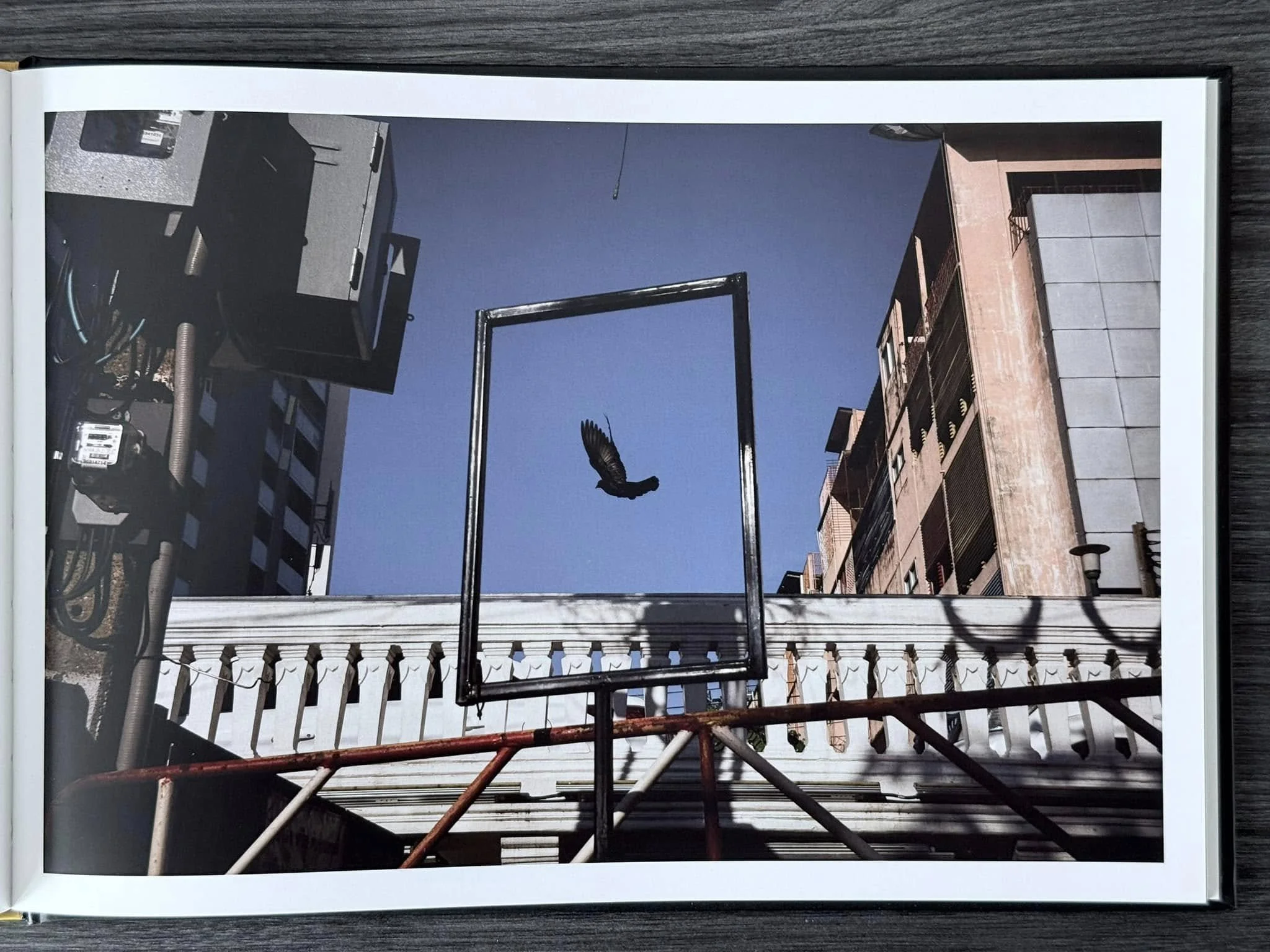 PAD_54_0011.jpg
