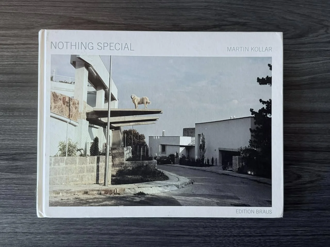 วันละเล่ม #82 Nothing Special - Martin Kollar
