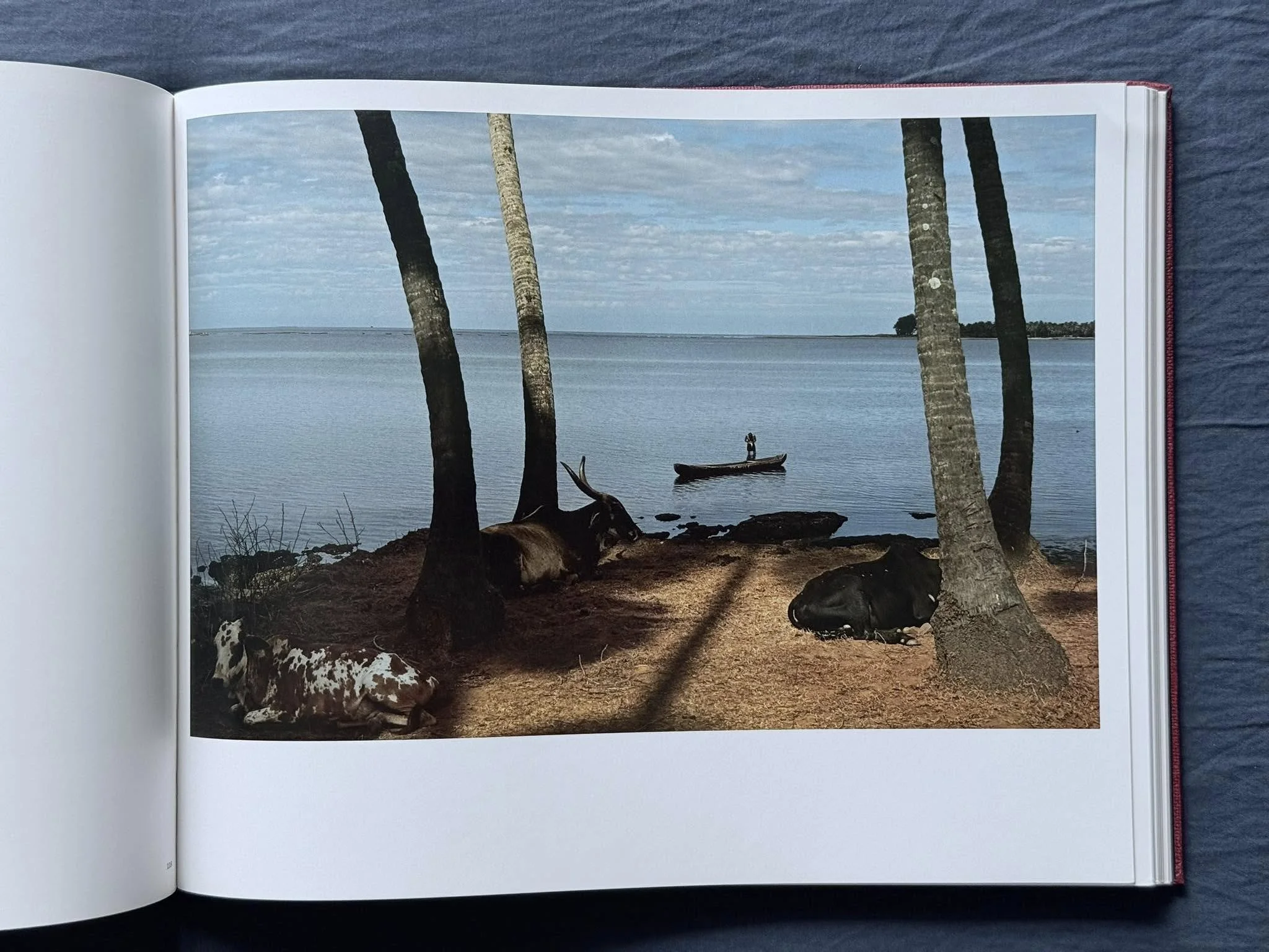 PAD_88_0017.jpg