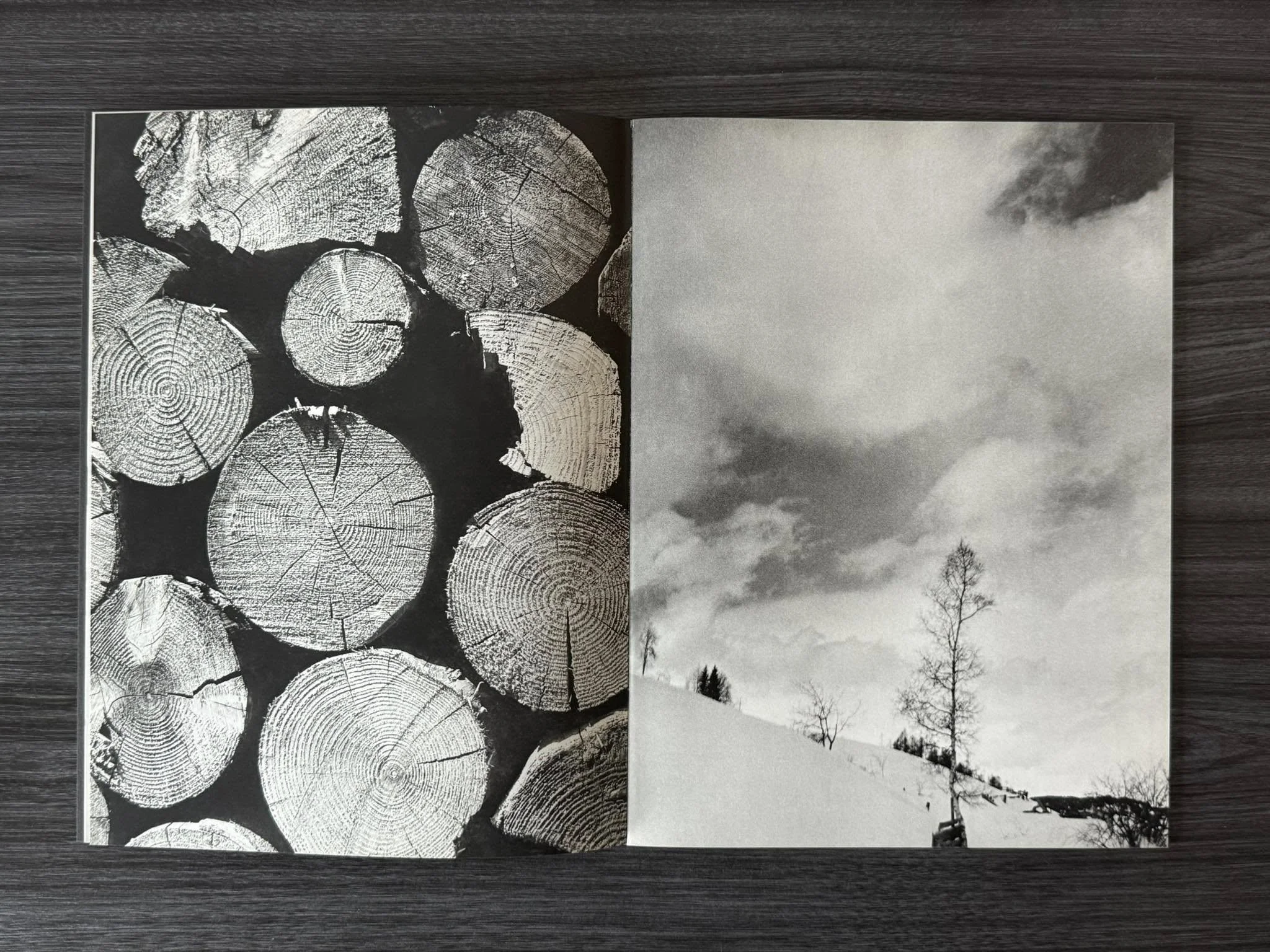 PAD_91_0006.jpg