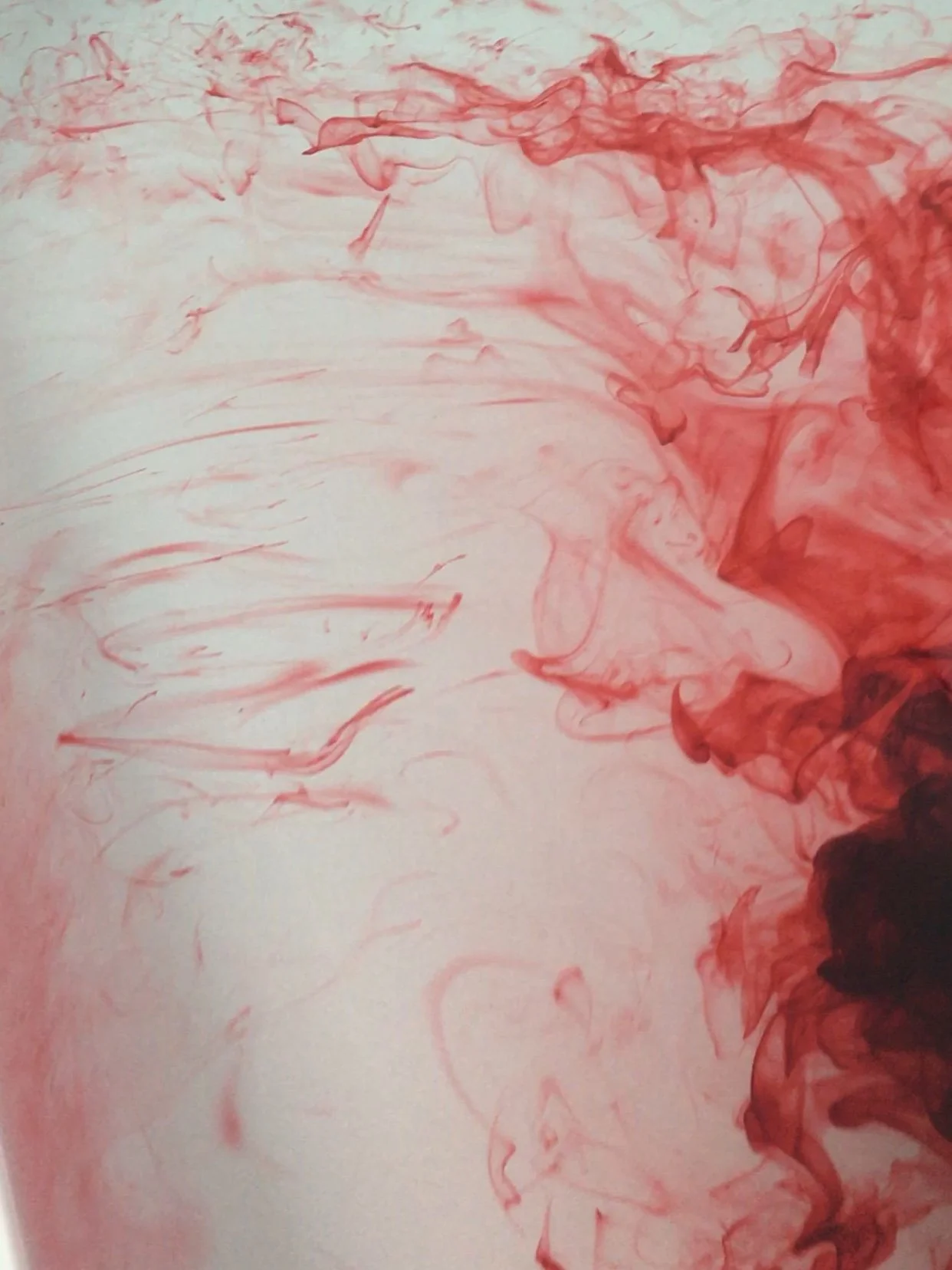 nether_sample_ (3).jpg