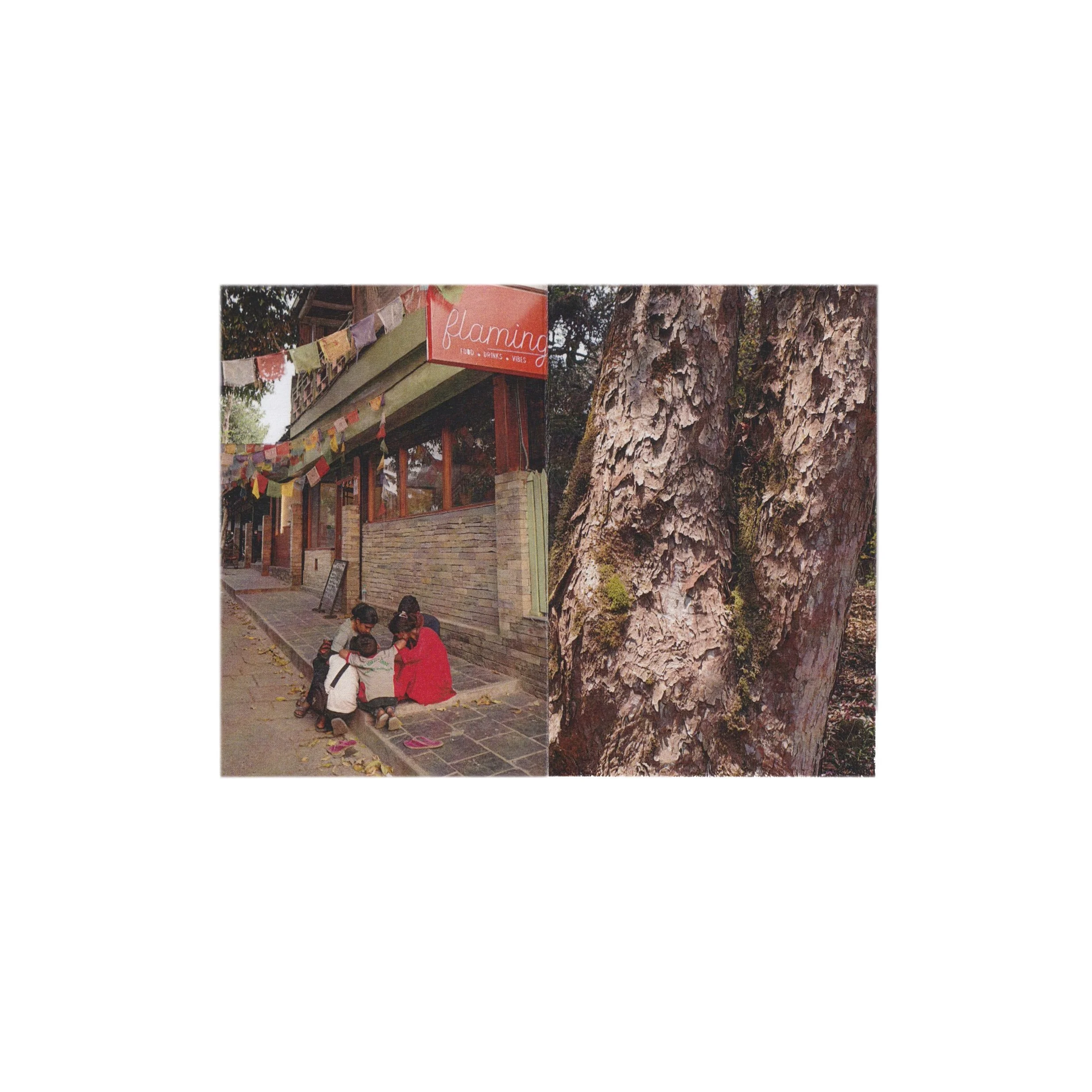 abcd-pack-white-4.jpg