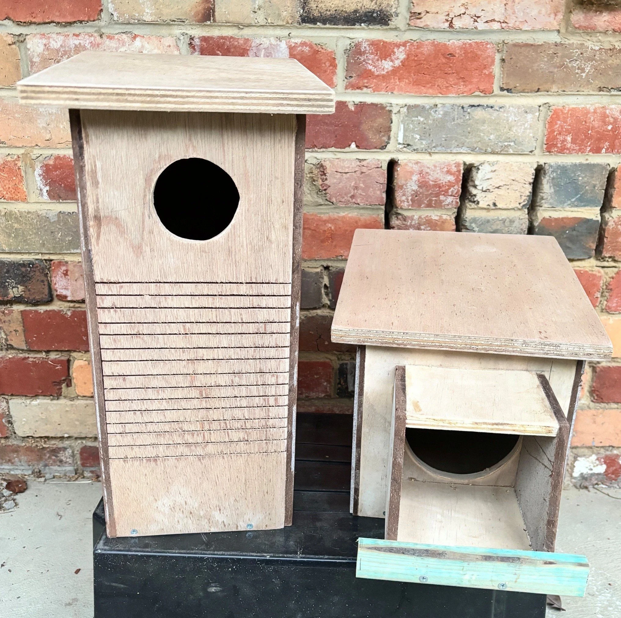 Bird Box