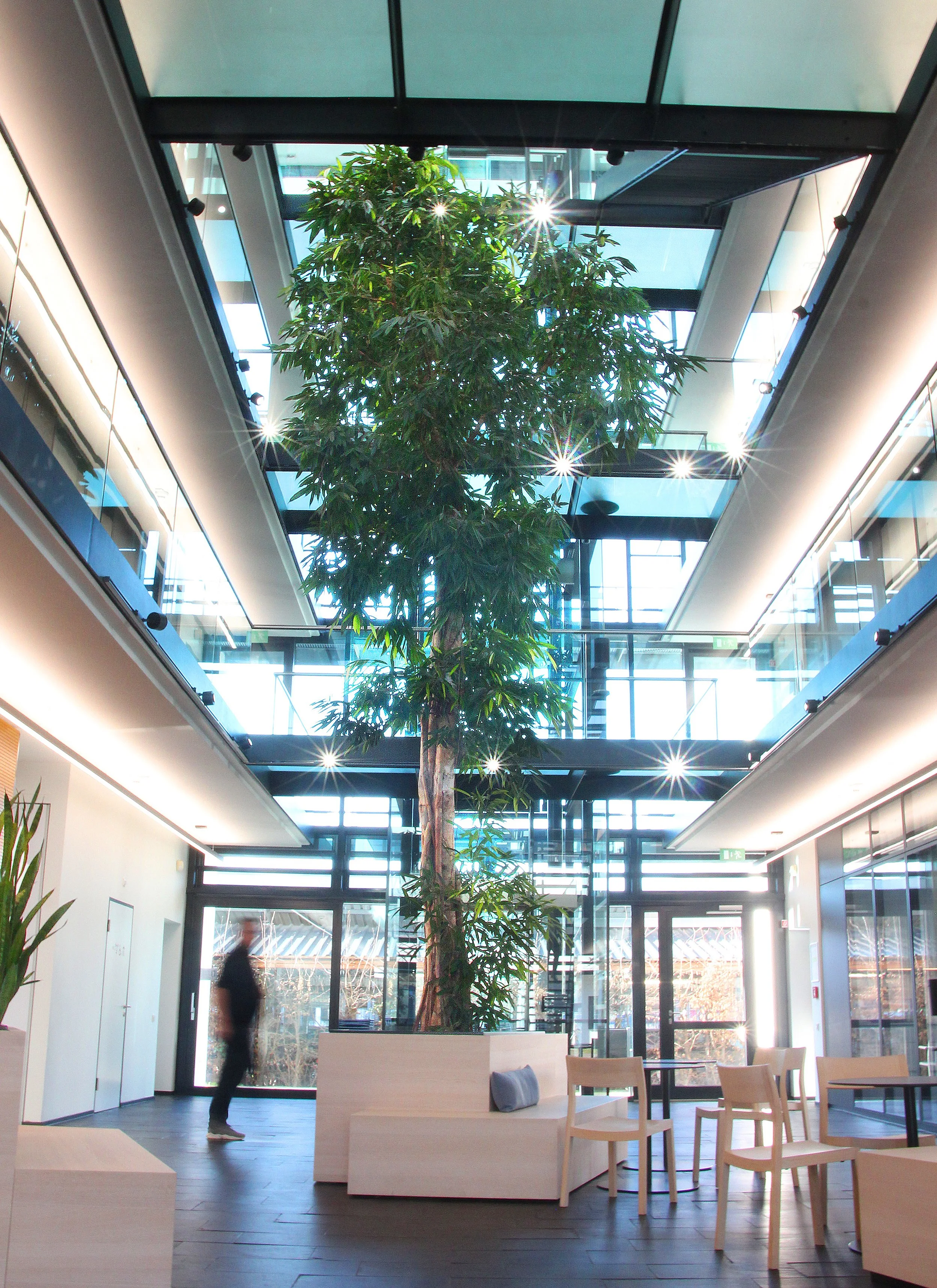 Innenansicht eines modernen Gebäudes mit großem Baum in der Mitte, viel Glas und natürlichen Lichtquellen.