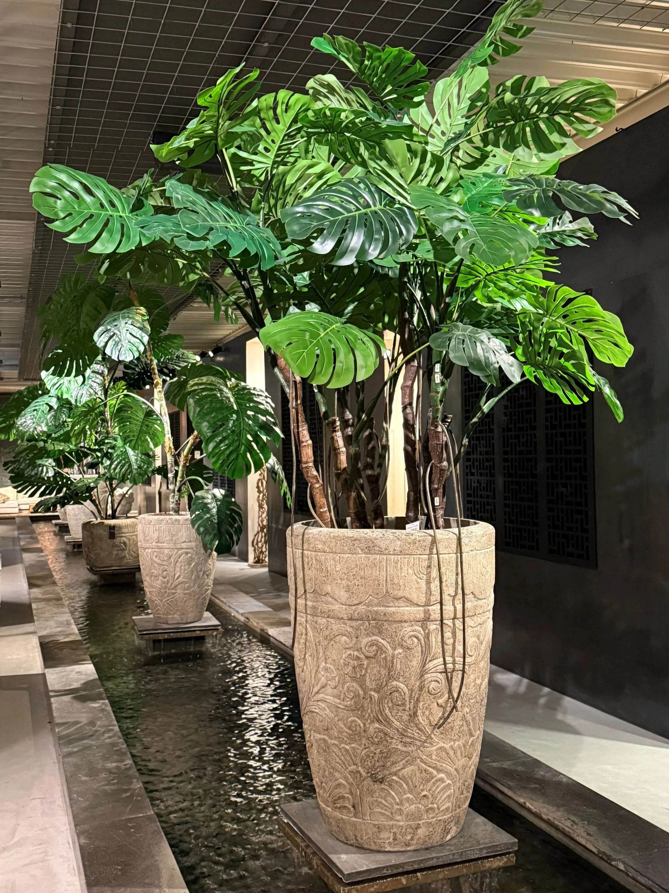 Großer grüner Monstera-Pflanzen in dekorativen Töpfen, in einem Raum mit Wasserlauf und dunklem Hintergrund.