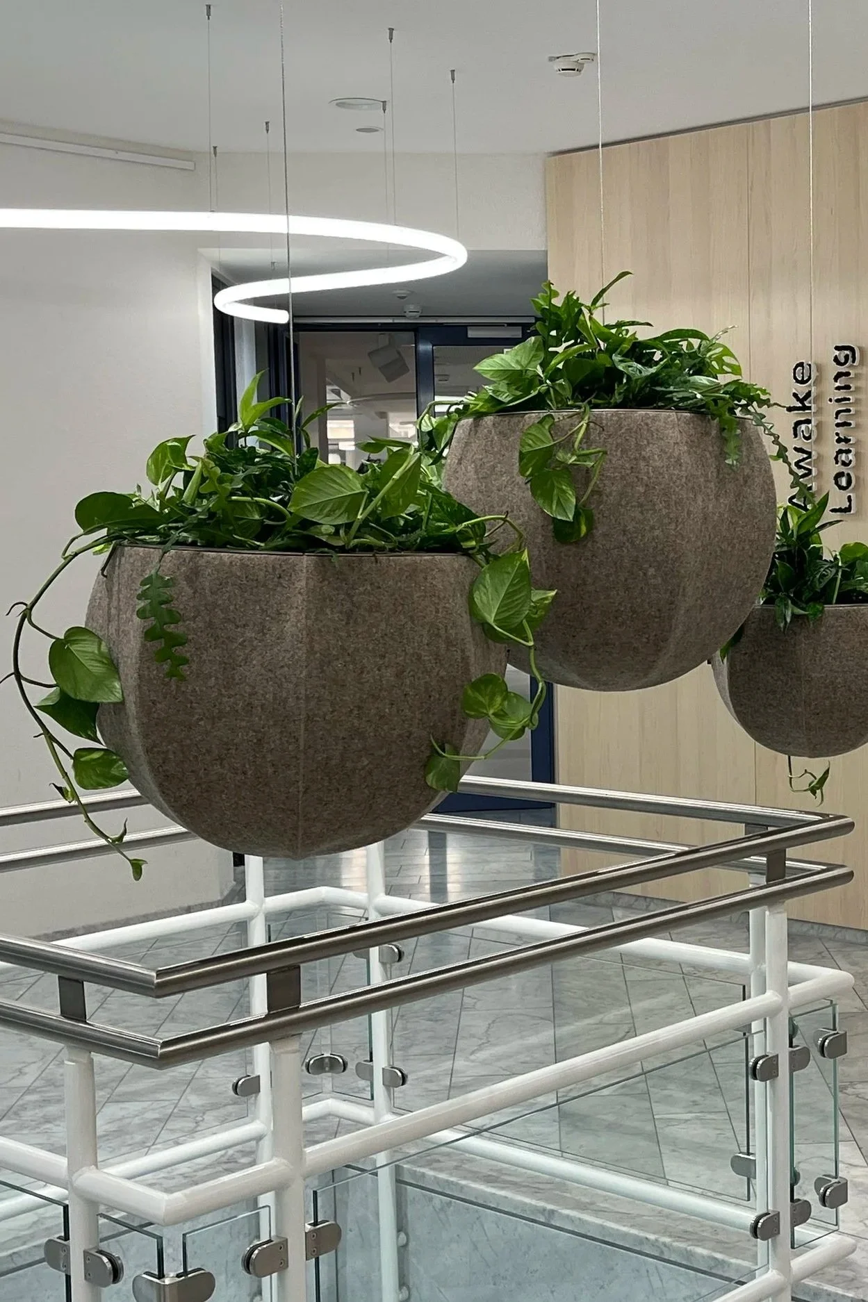 Zwei hängende Pflanzgefäße mit grünen Pflanzen in einem modernen, hellen Innenraum. Im Hintergrund ist eine beleuchtete Deckenlampe und ein Fenster sichtbar.