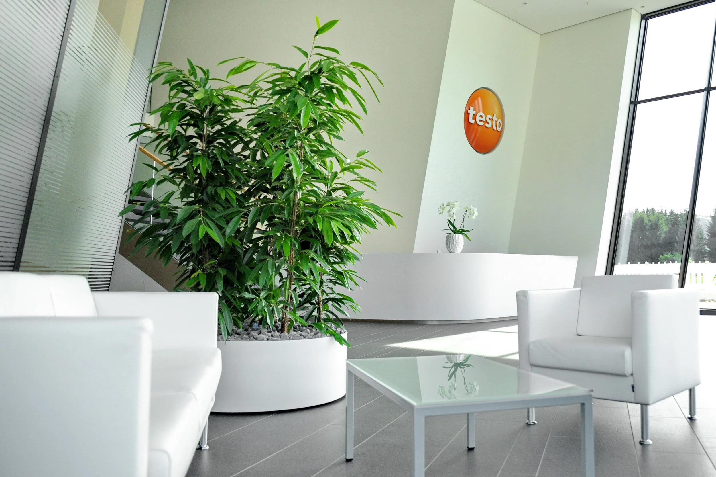 Ein modernes Büro mit großen Fenstern, einem großen Grünpflanze in einem weißen Topf, einem weißen Tisch, weißen Stühlen und einer weißen Wand mit einem orangefarbenen Testo-Logo.