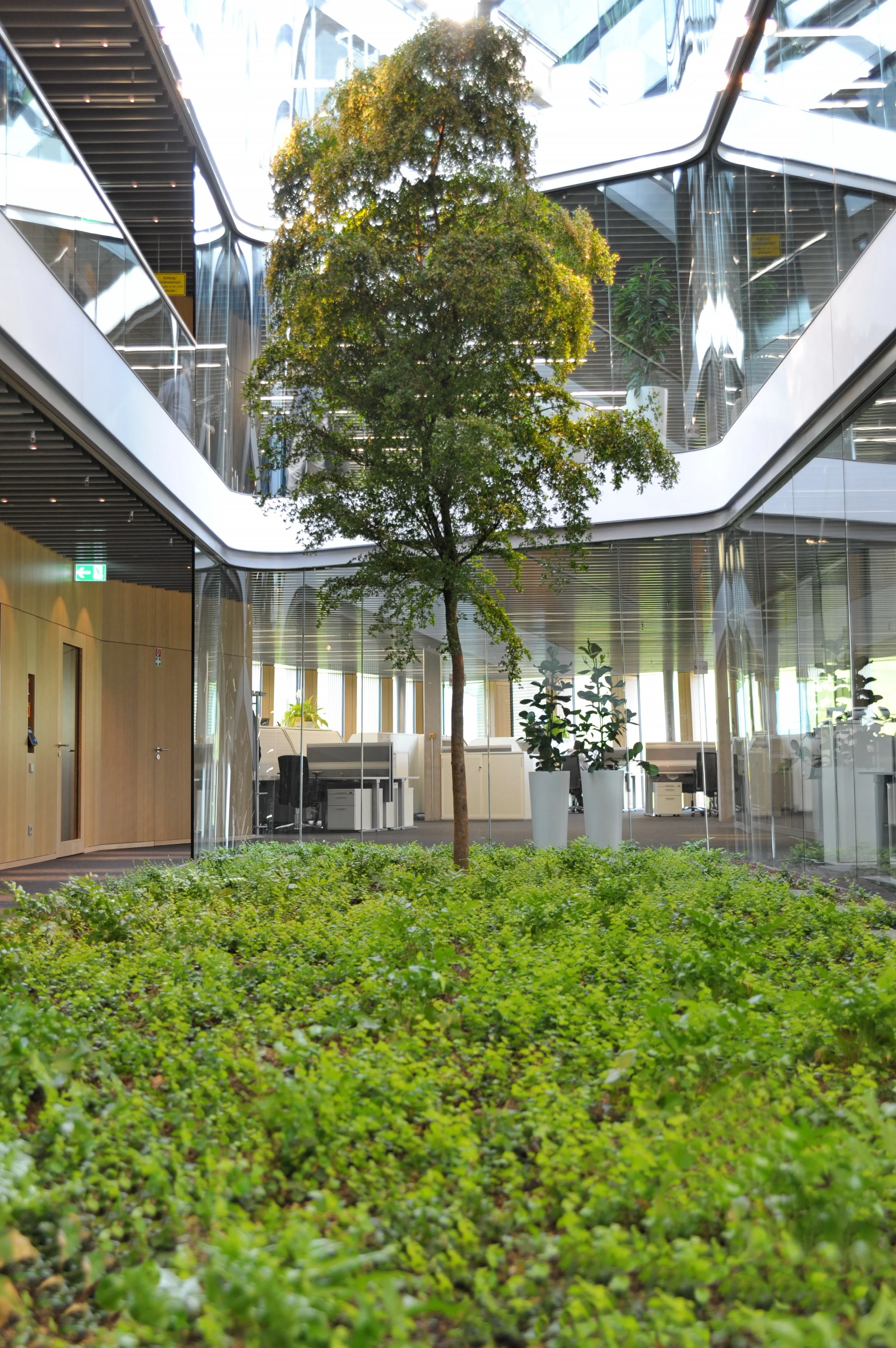 Innenansicht eines modernen Gebäudes mit begrüntem Innenhof und mehreren Etagen, viel Glas, Pflanzen und ein Baum in der Mitte.