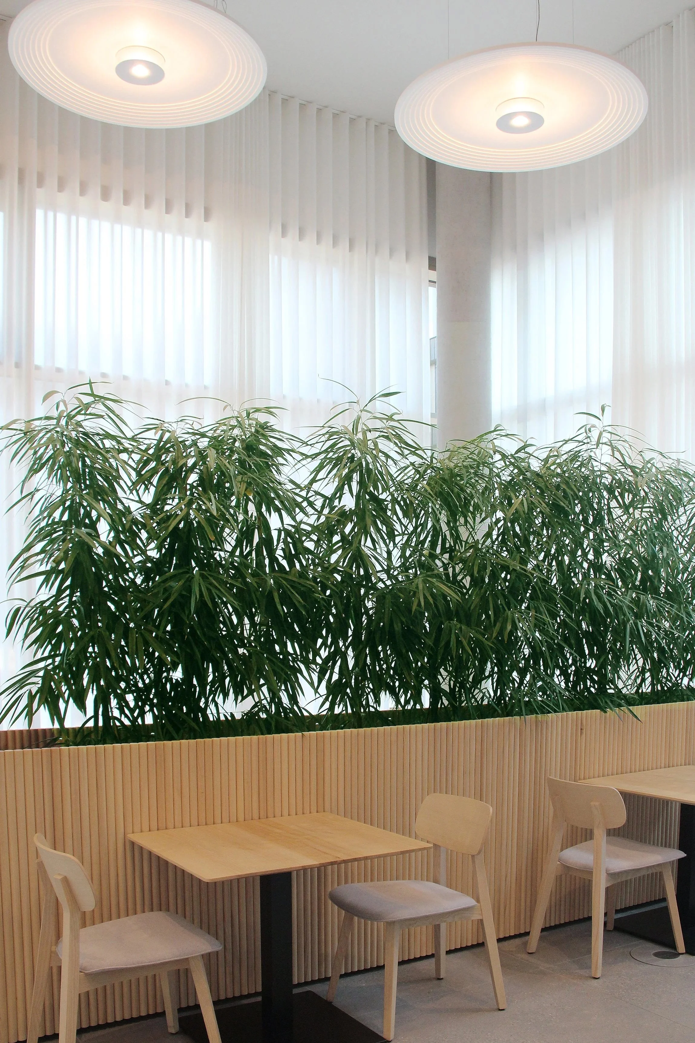 Innenraum mit weißen Stühlen, hellen Holztischen, einer vertikalen Holzverkleidung und großen Fenstern mit weißen Vorhängen, zwei modernen Deckenleuchten.