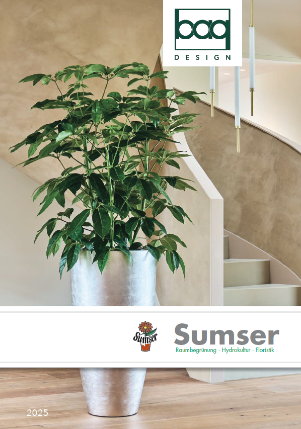 Ein großer grüner Topfpflanzen in einem silbernen Blumentopf, im Hintergrund eine moderne Treppe und beige Wand, oben rechts ein Logo von bad DESIGN.