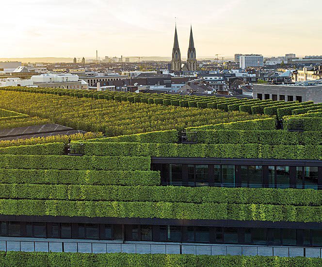 Quelle: BLOOM’s DECO 4/21 (EVT 1. Juli 2021)