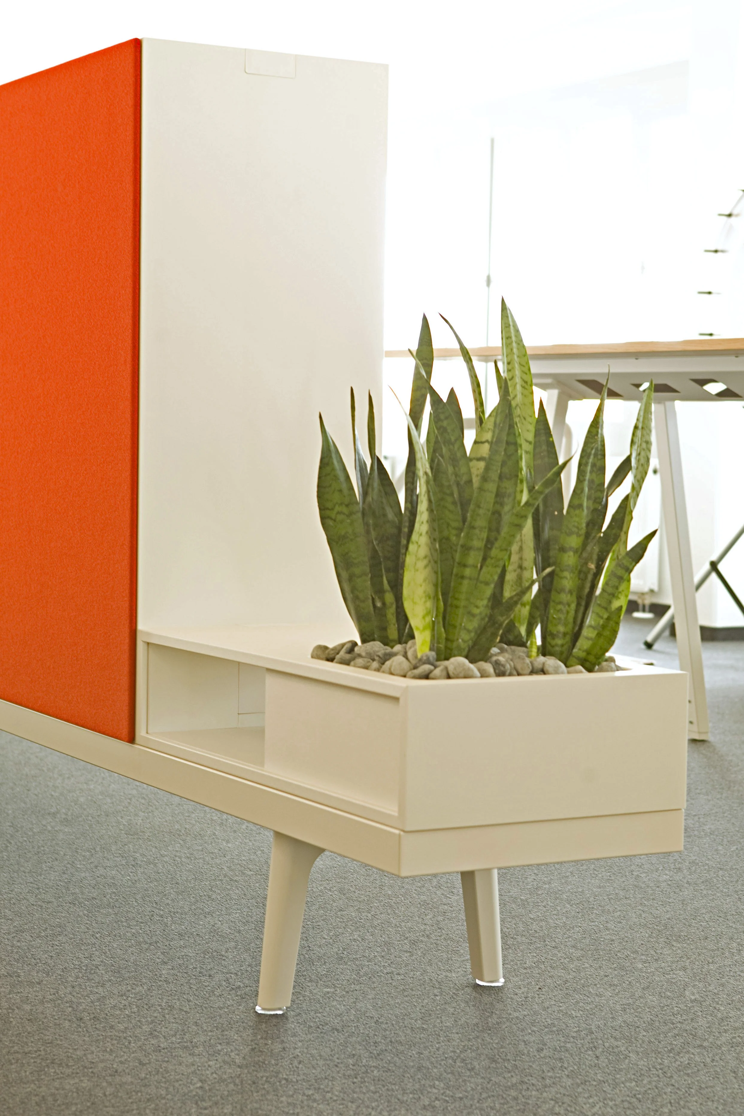 Ein moderner Holztisch mit Pflanze, die in einer rechteckigen weißen Pflanzschale mit Steinen wächst, im Büro mit grauem Teppichboden.