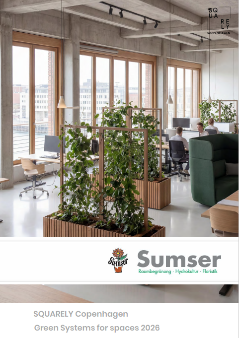 Offenes Büro mit großen Fenstern, Pflanzen in Holzkästen, Schreibtische mit Computern, und Mitarbeitern bei der Arbeit.