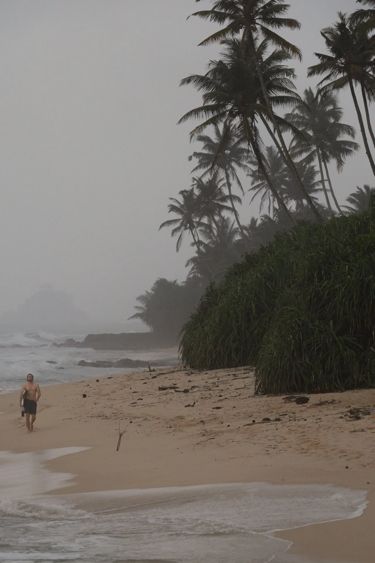 Figure walking along a misty tropical shoreline lined with palm trees.