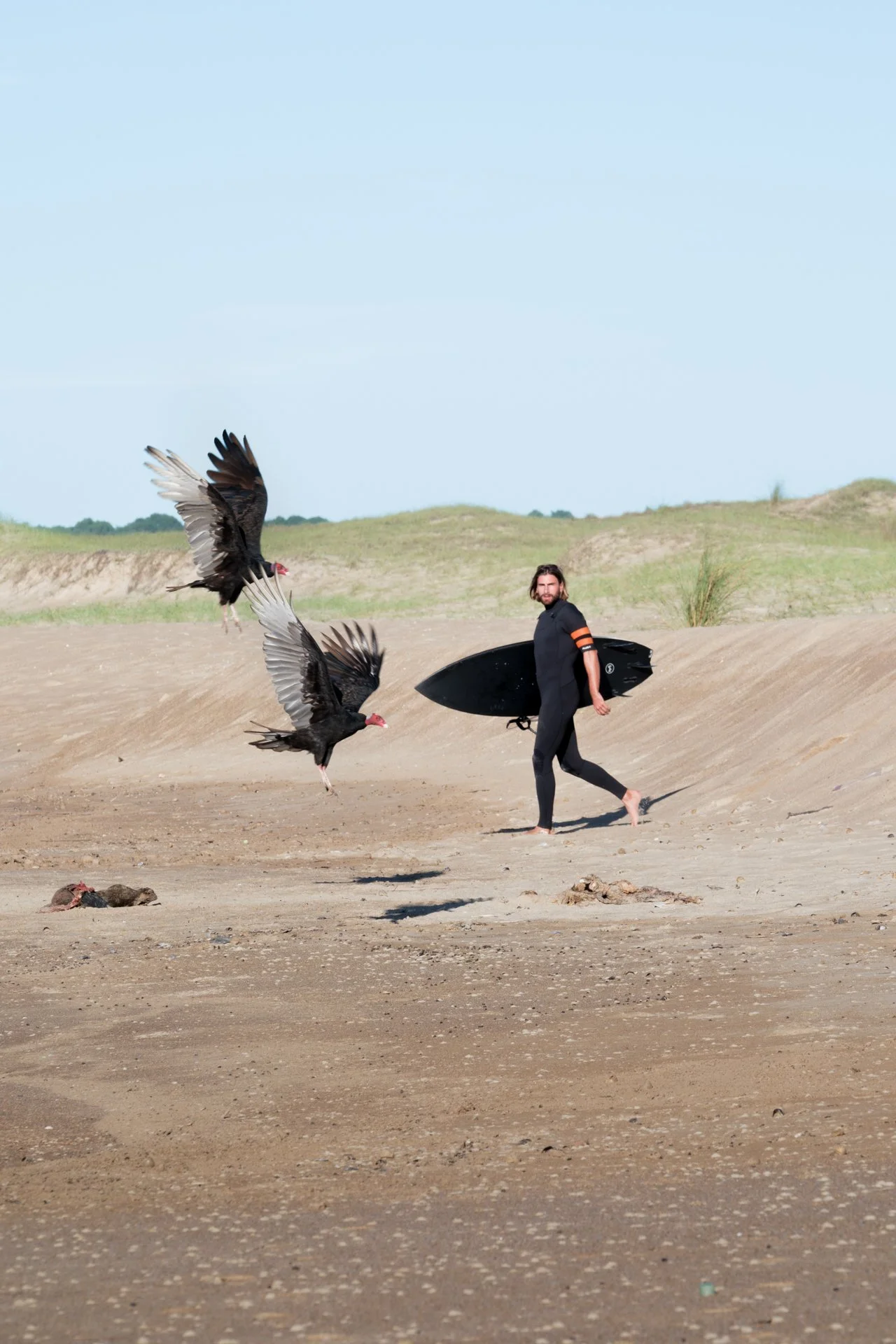 Surfer walking along a remote beach as vultures circle overhead.