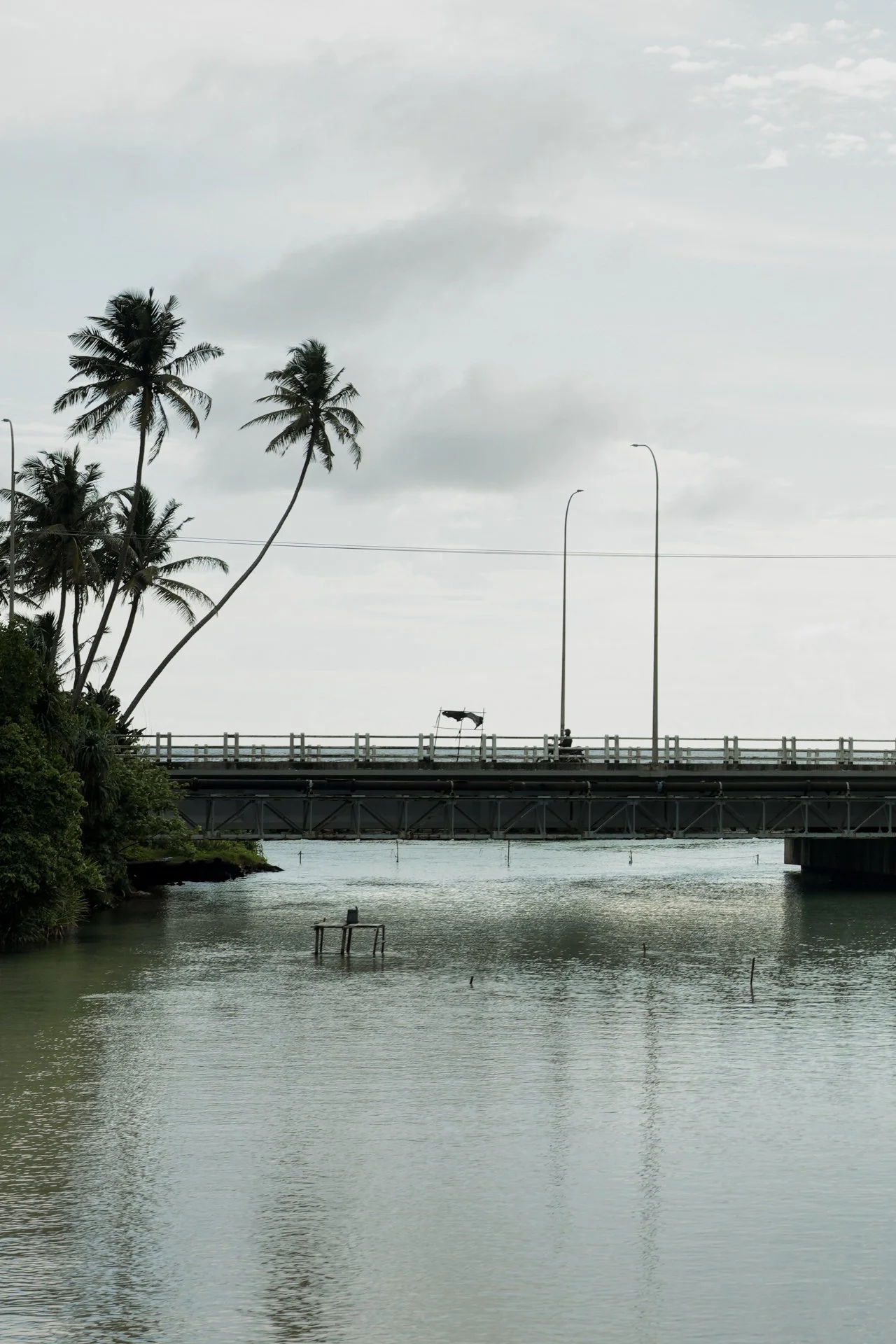 Tropical river mouth with palms, bridge and calm coastal waters.