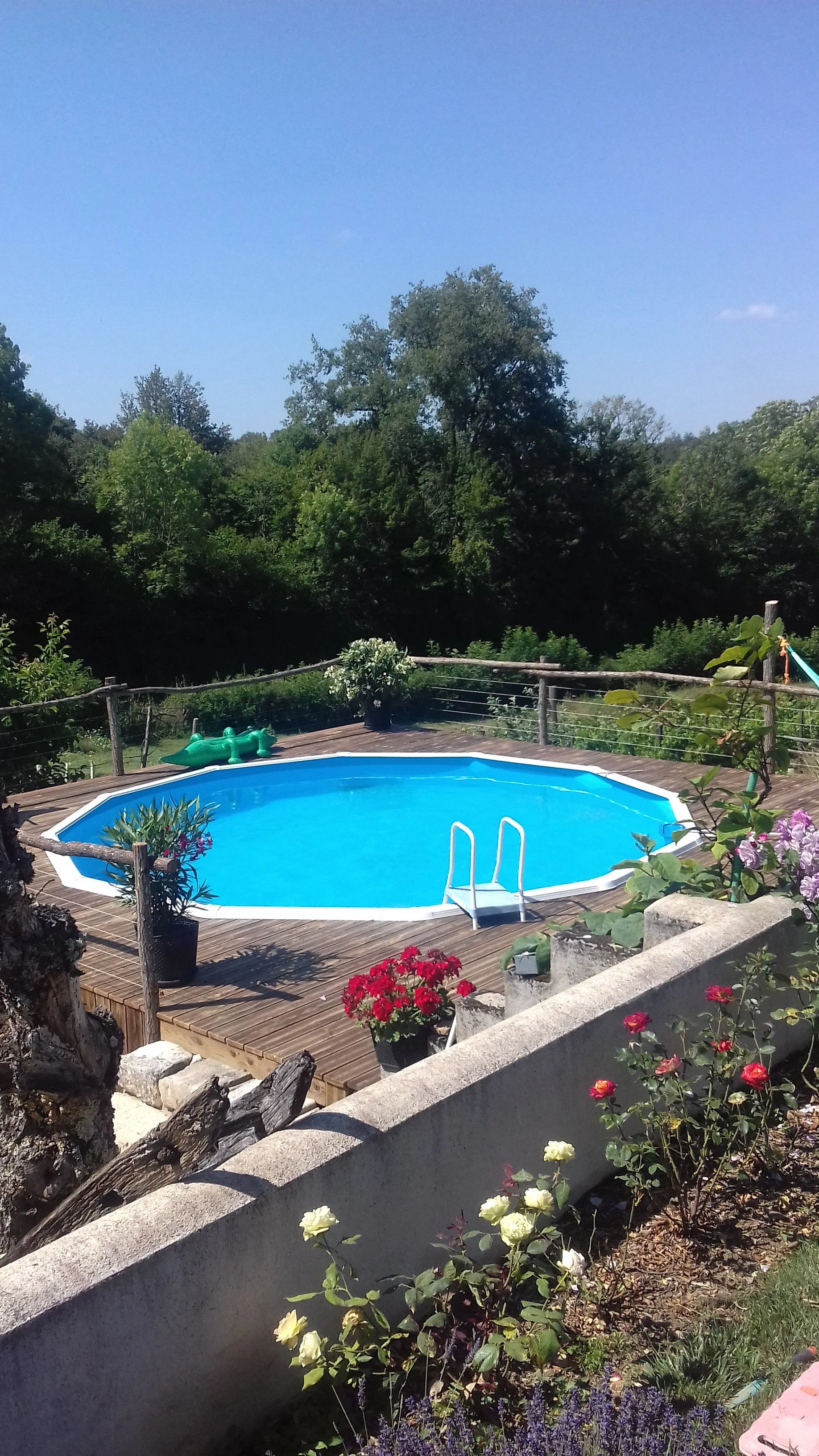 Piscine en forme ovale bleue sur une terrasse en bois entourée de fleurs et de plantes, avec des arbres et un ciel bleu en arrière-plan.