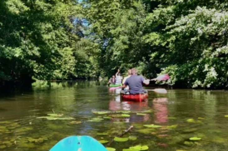 Groupe de personnes en kayak sur une rivière entourée d'arbres verts.
