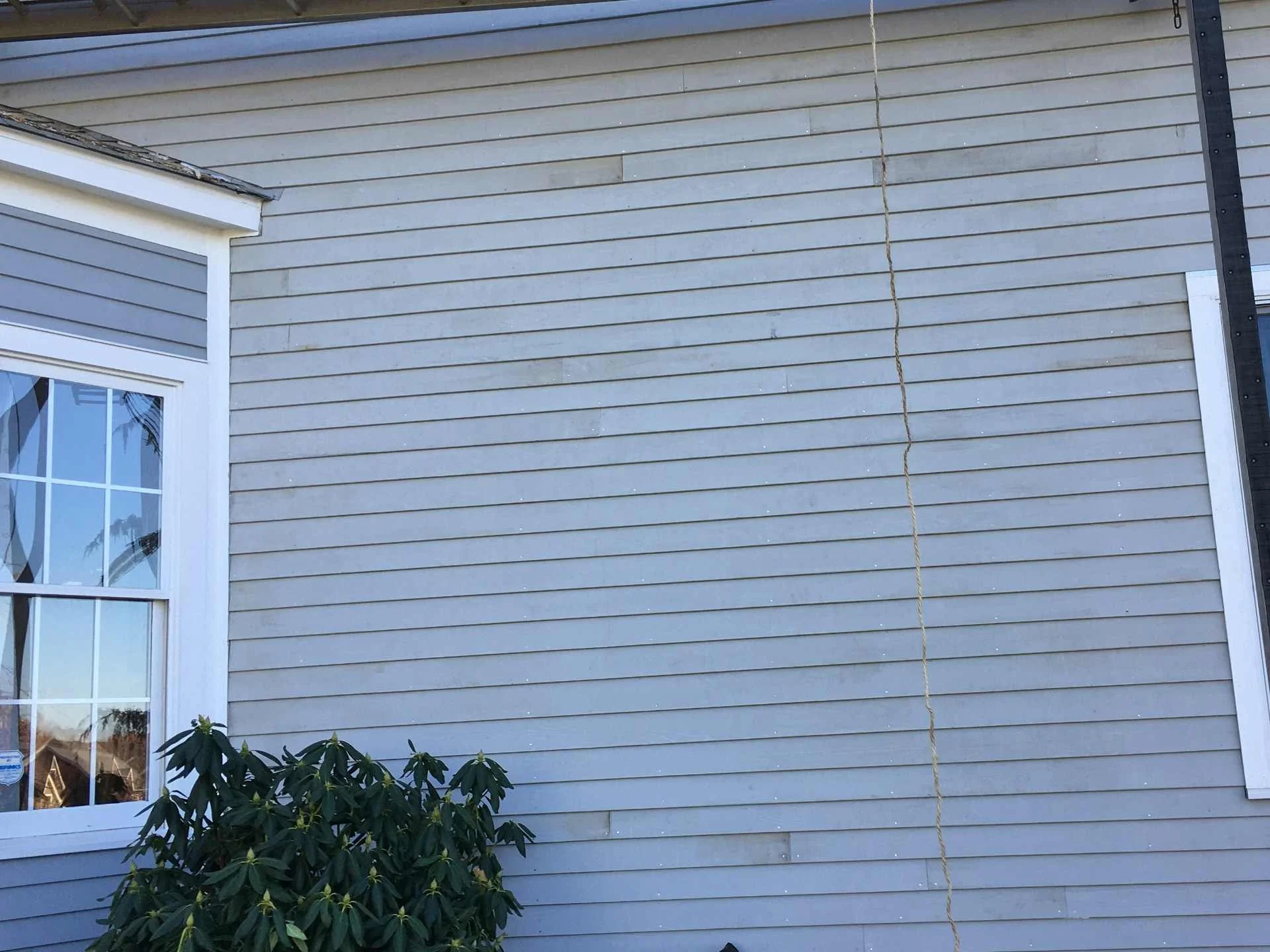 The side view of a house with gray horizontal siding and a window with a white frame in the lower left corner. There are green leafy plants in front and a yellow rope hanging down the side of the house.