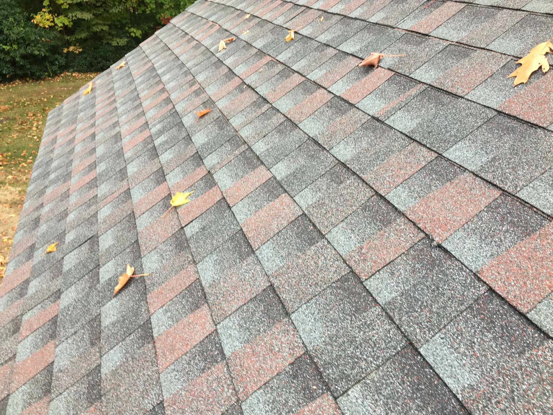 Close-up of a new sloped asphalt shingle roof with scattered yellow and brown fallen leaves in Templeton, MA