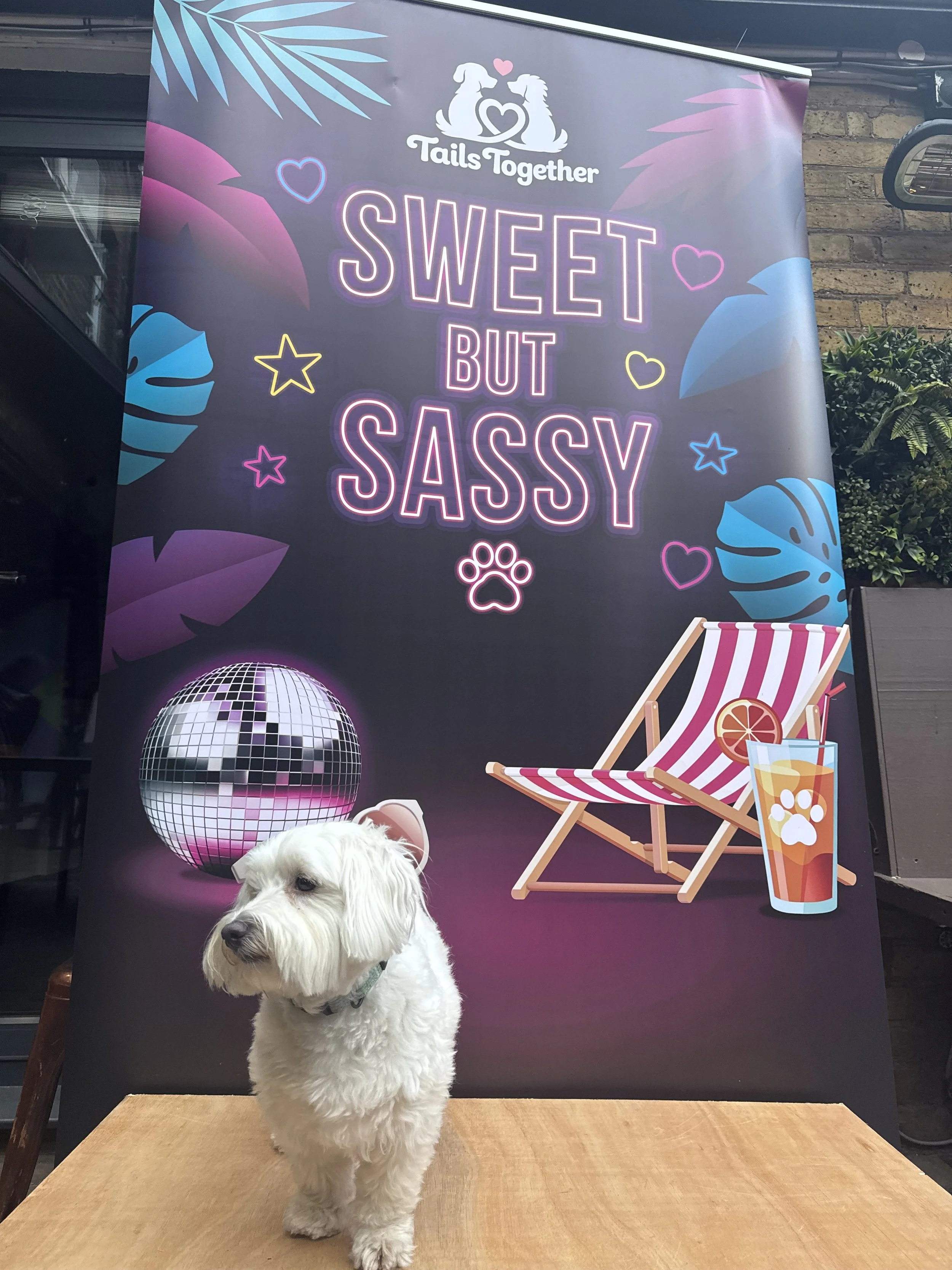 IMG_3921.jpeg
