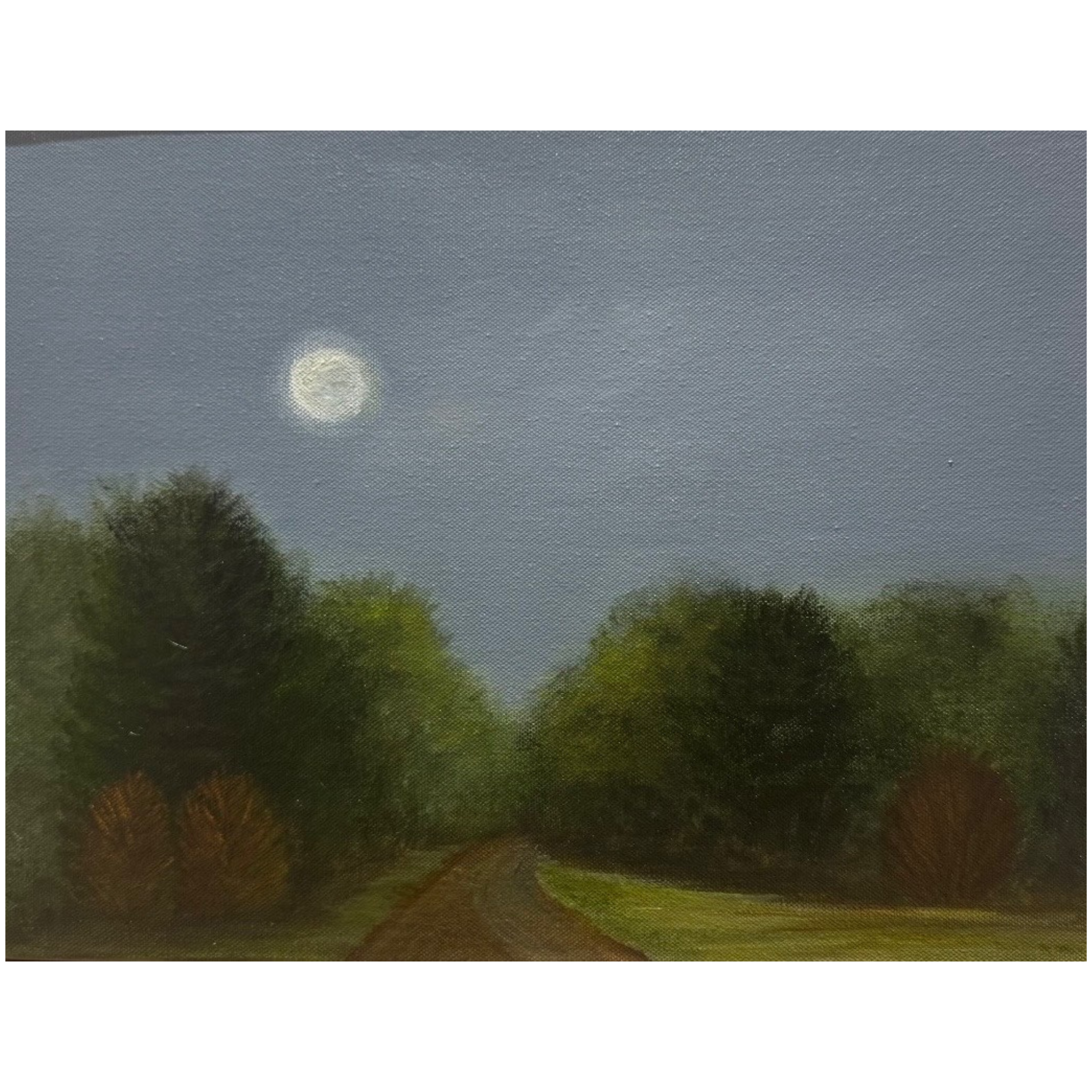 Moonlit