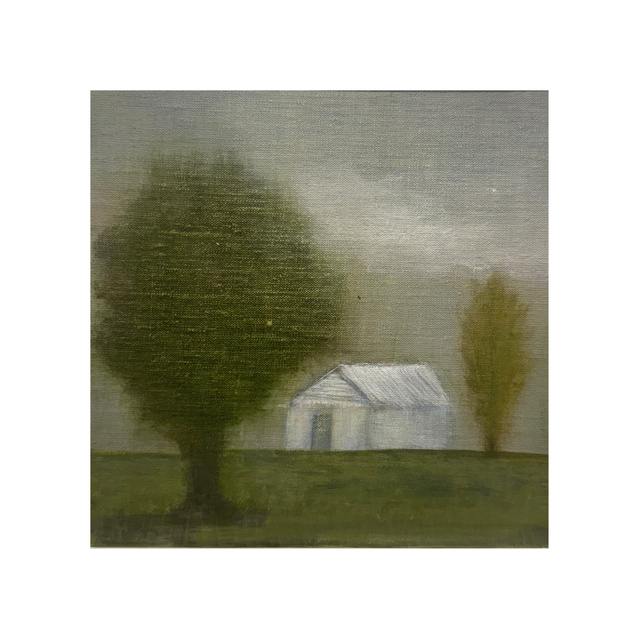 The Shed
