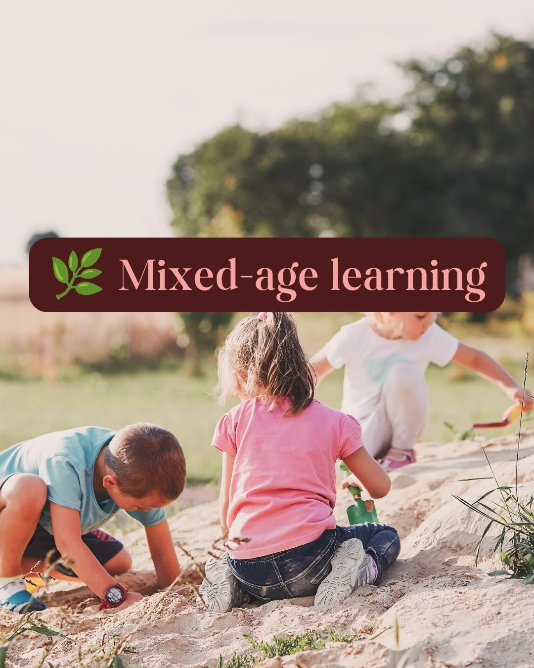 At Cultivating Curiosity, we believe mixed aged learning is incredibly valuable 🧠 
It provides a space for children to teach &amp; learn - developing skills through understanding of themselves and others 🤝 

Rather than defined by age, children are