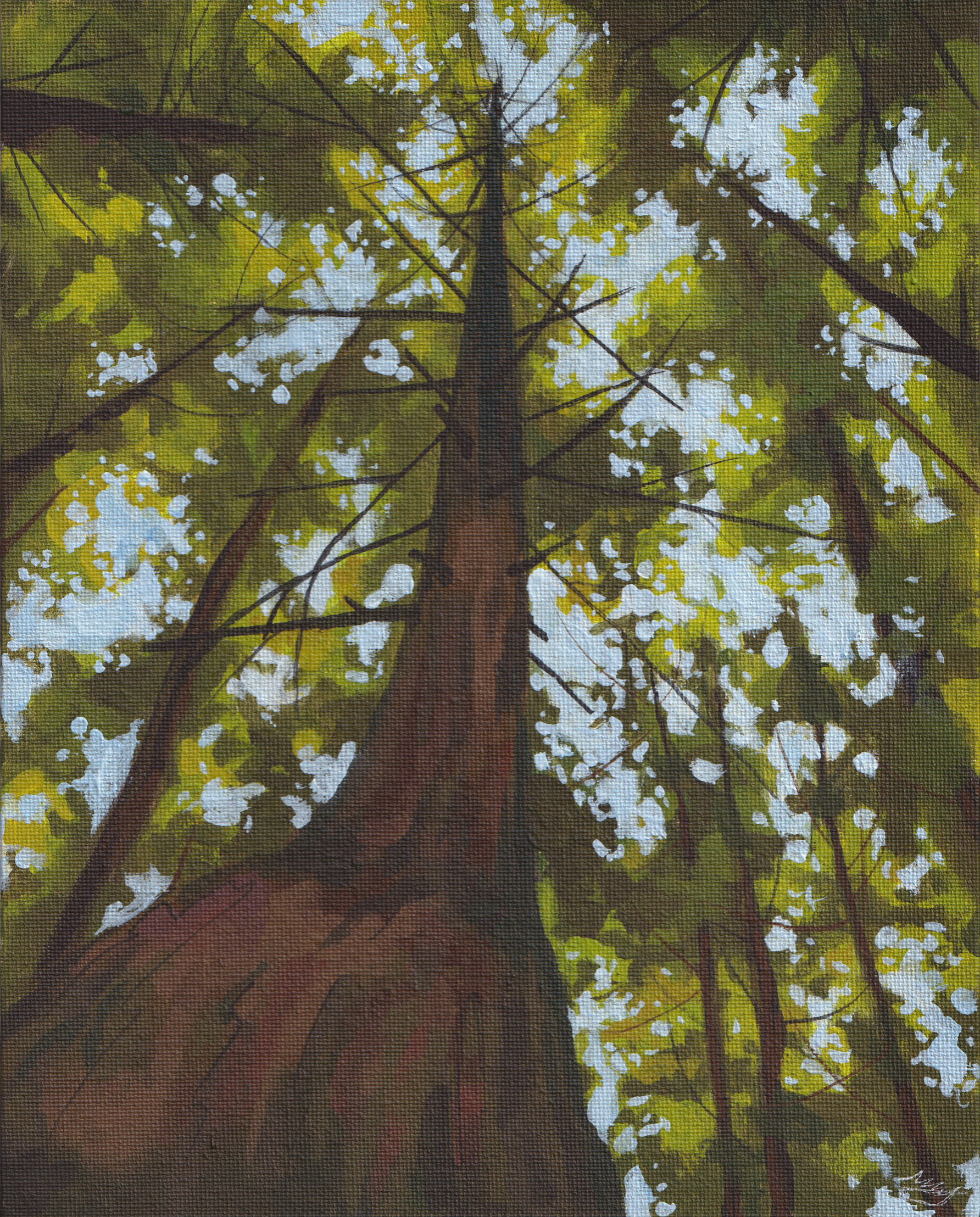 "Bug's Eye View"