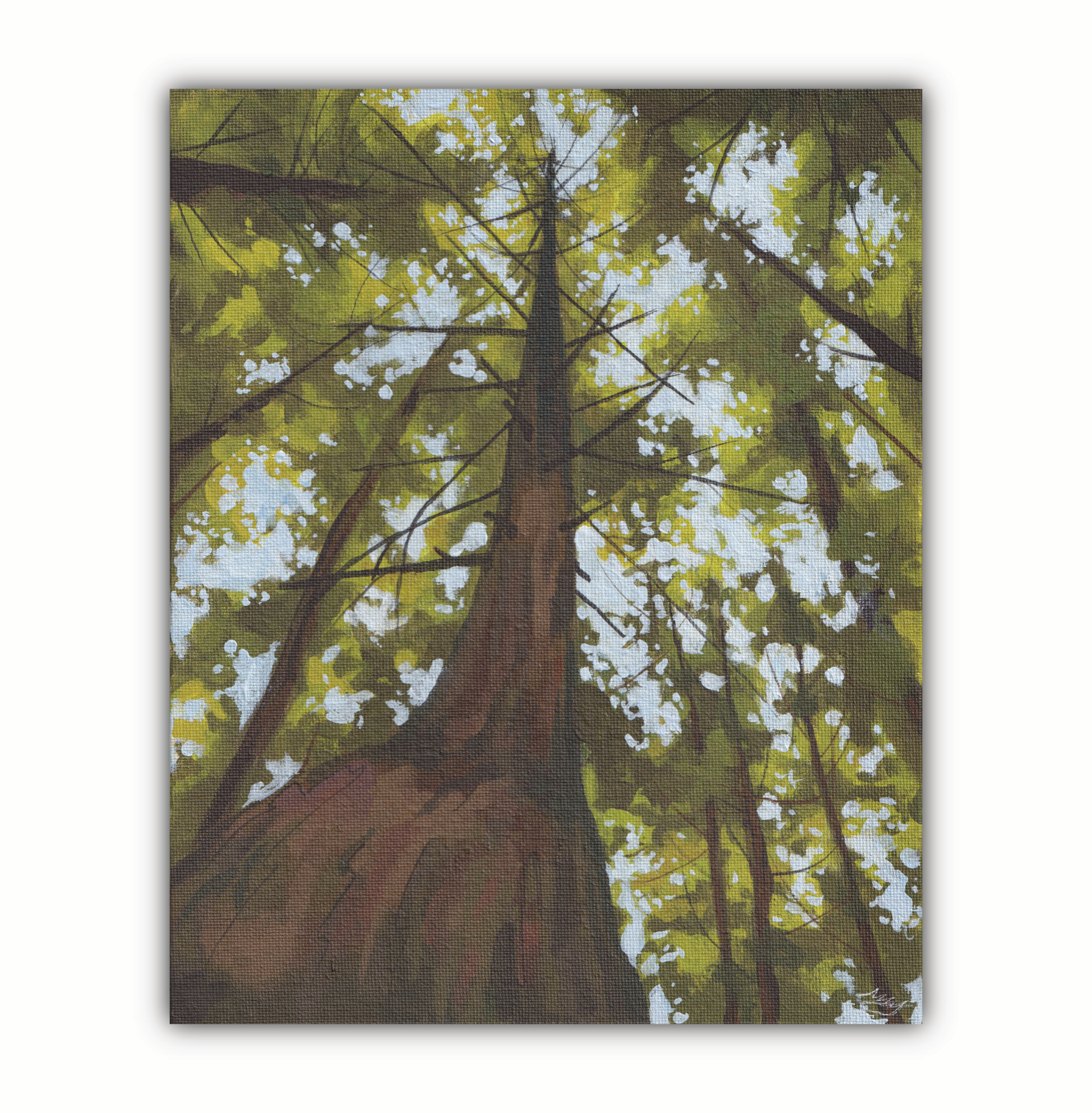 Untitled_Artwork 2.png