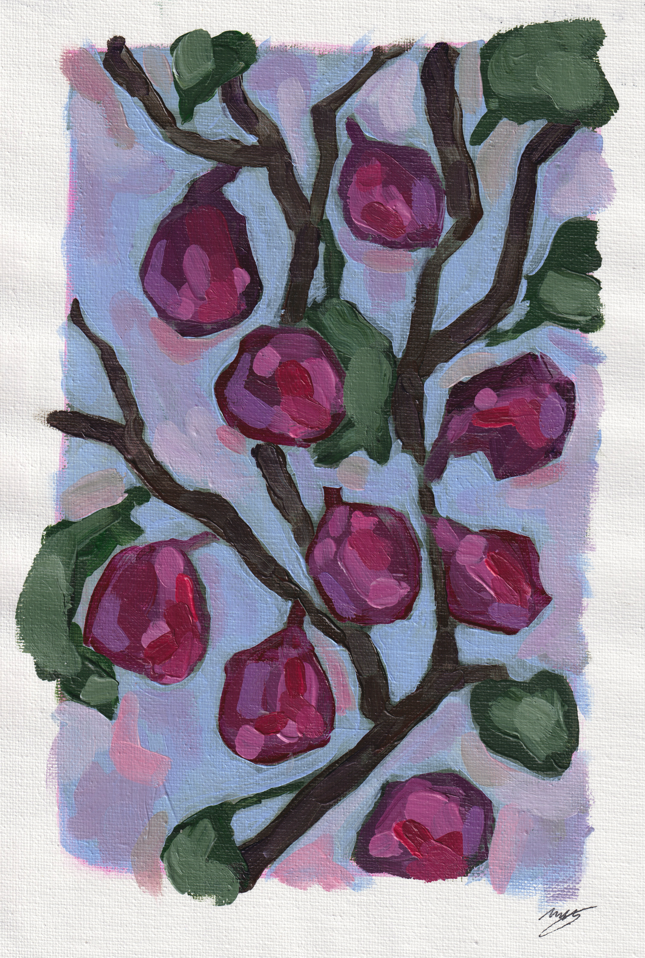 "Figs"